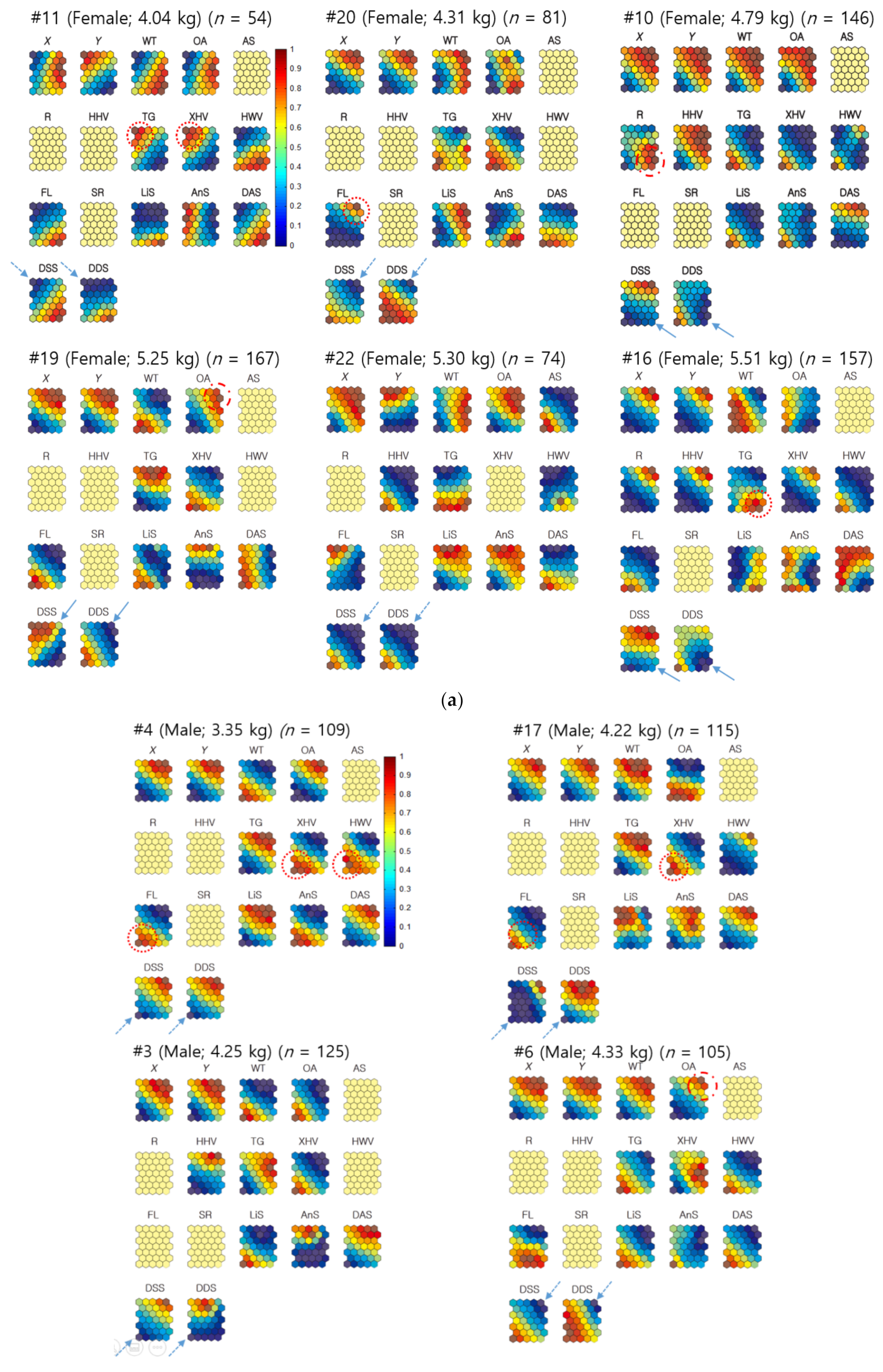 Biology 10 00598 g005a