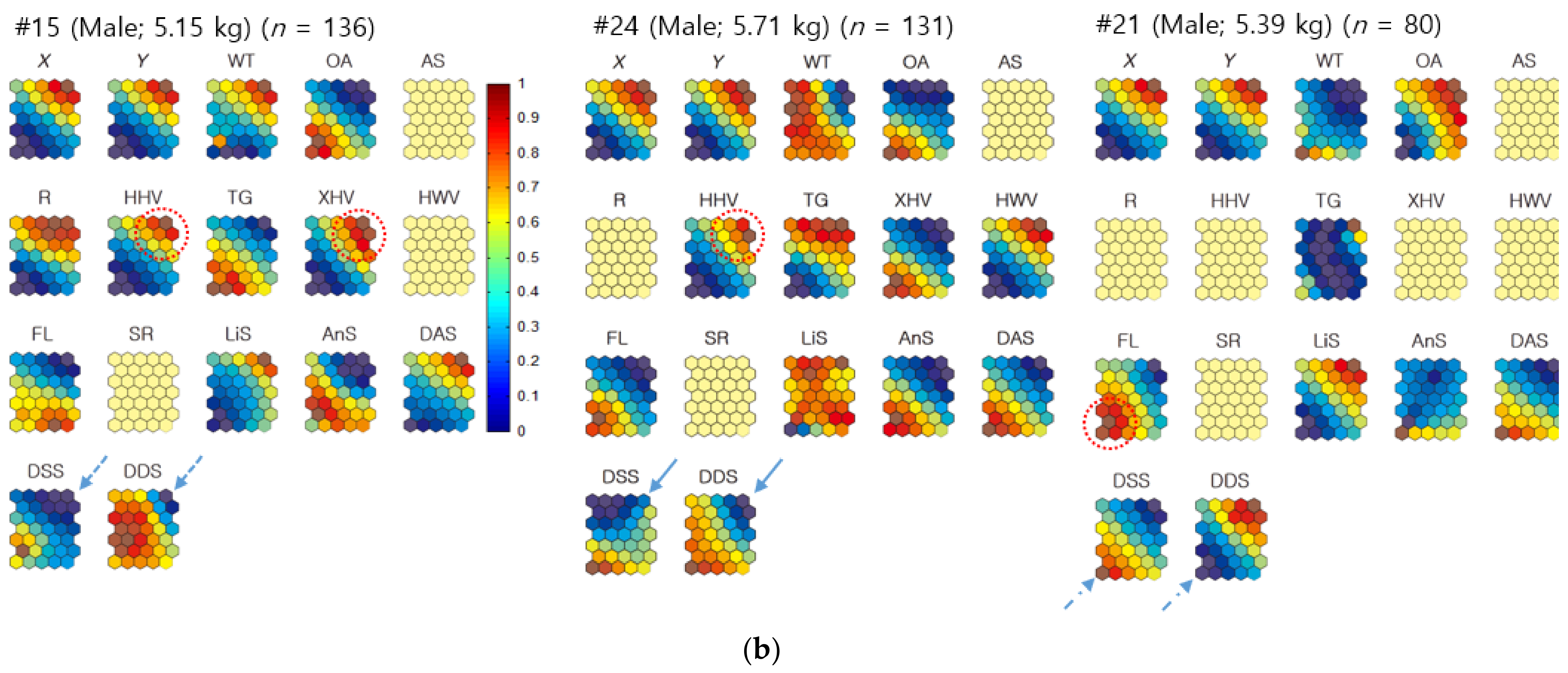 Biology 10 00598 g005b