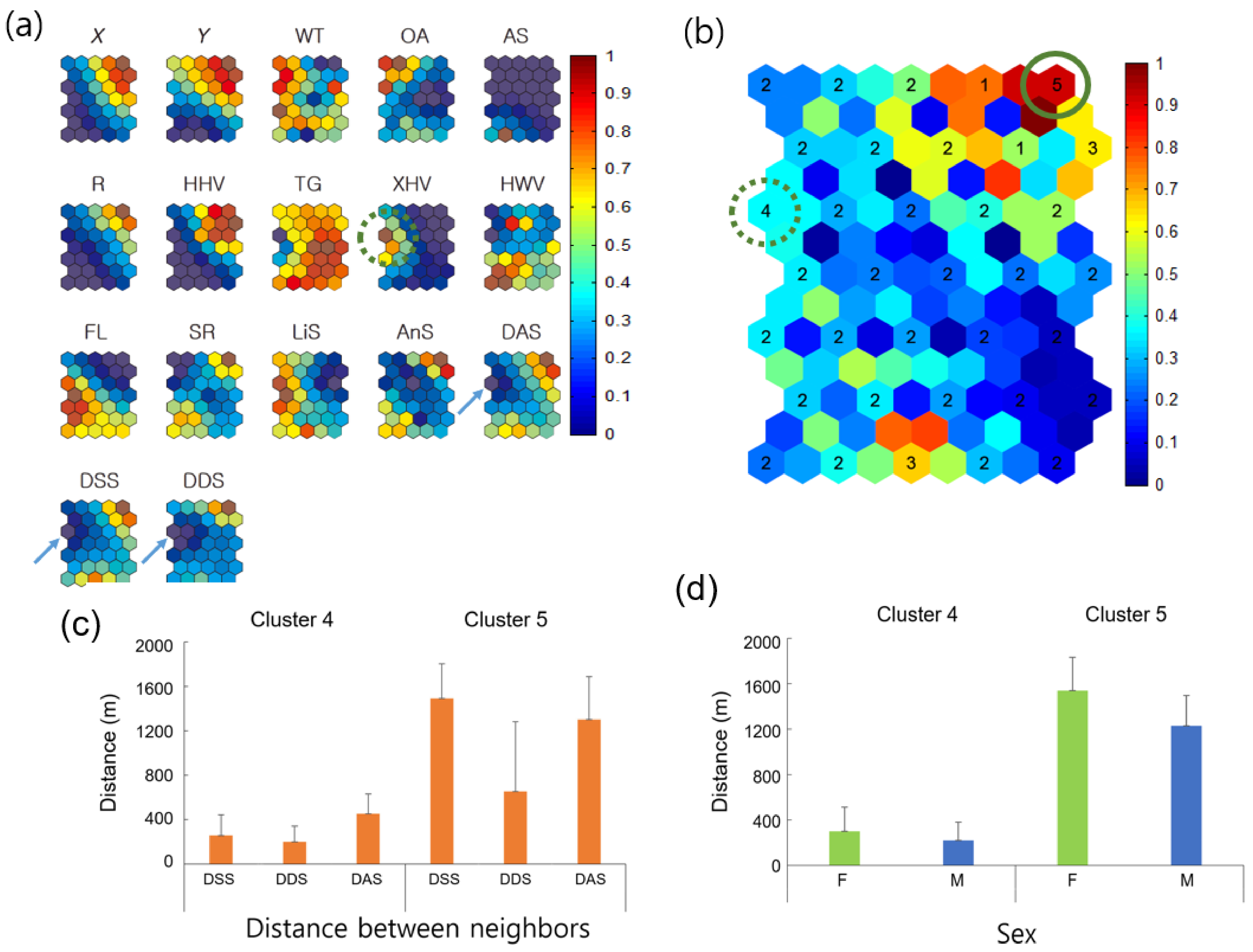 Biology 10 00598 g006