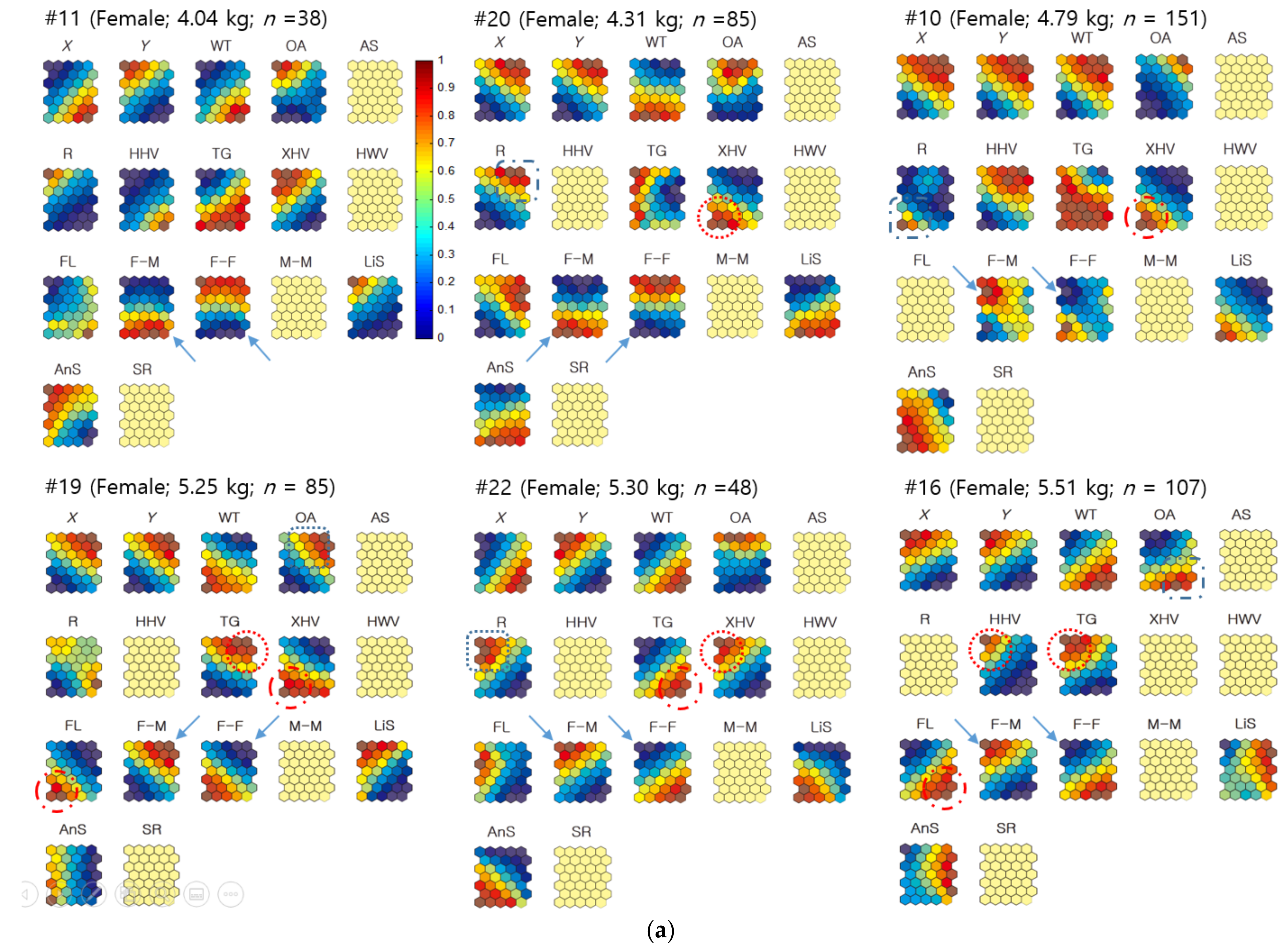 Biology 10 00598 g010a