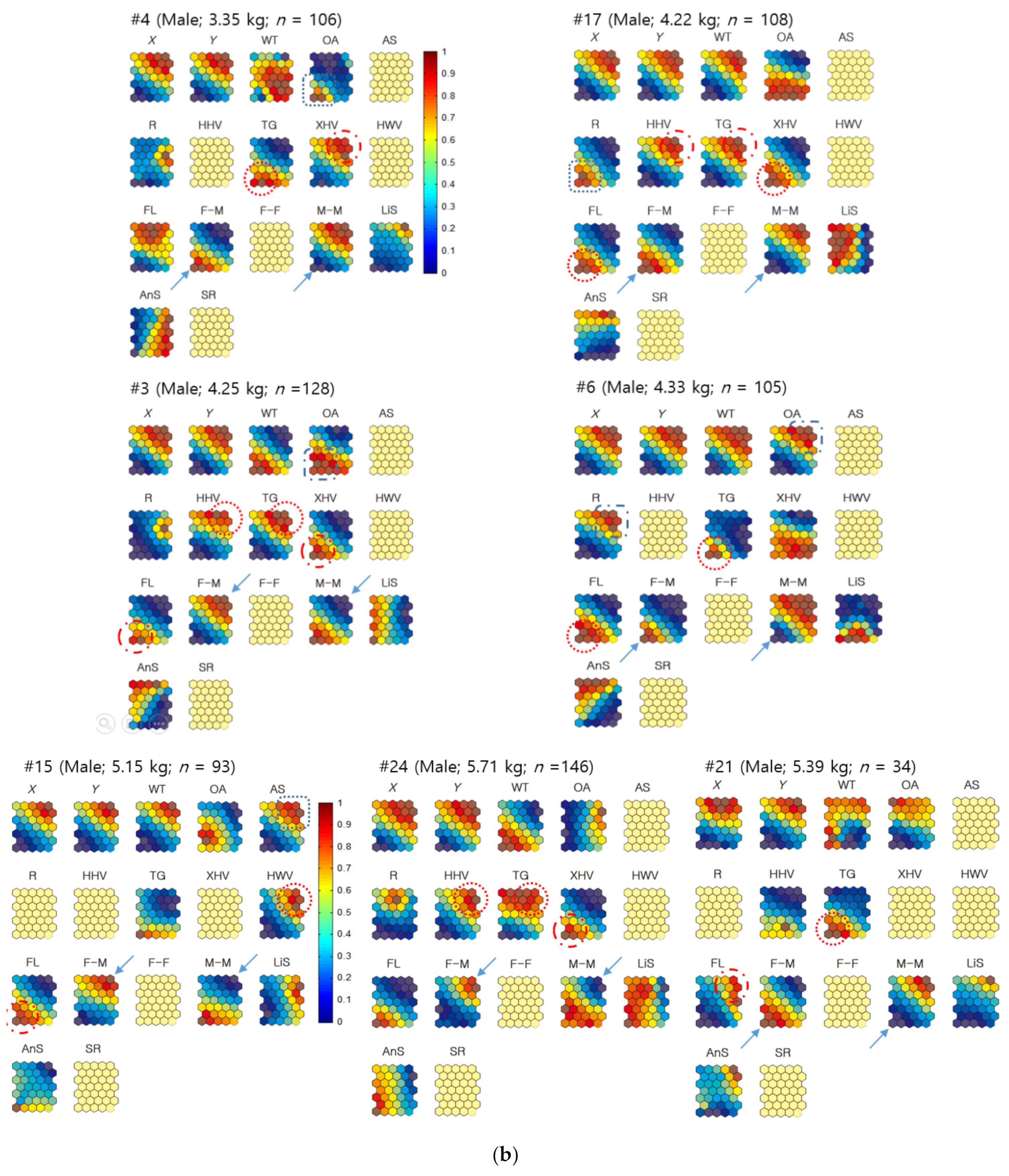 Biology 10 00598 g010b