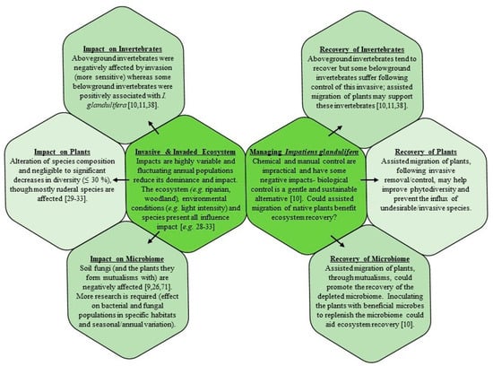 and the impact of its botanical control on the ecosystem it