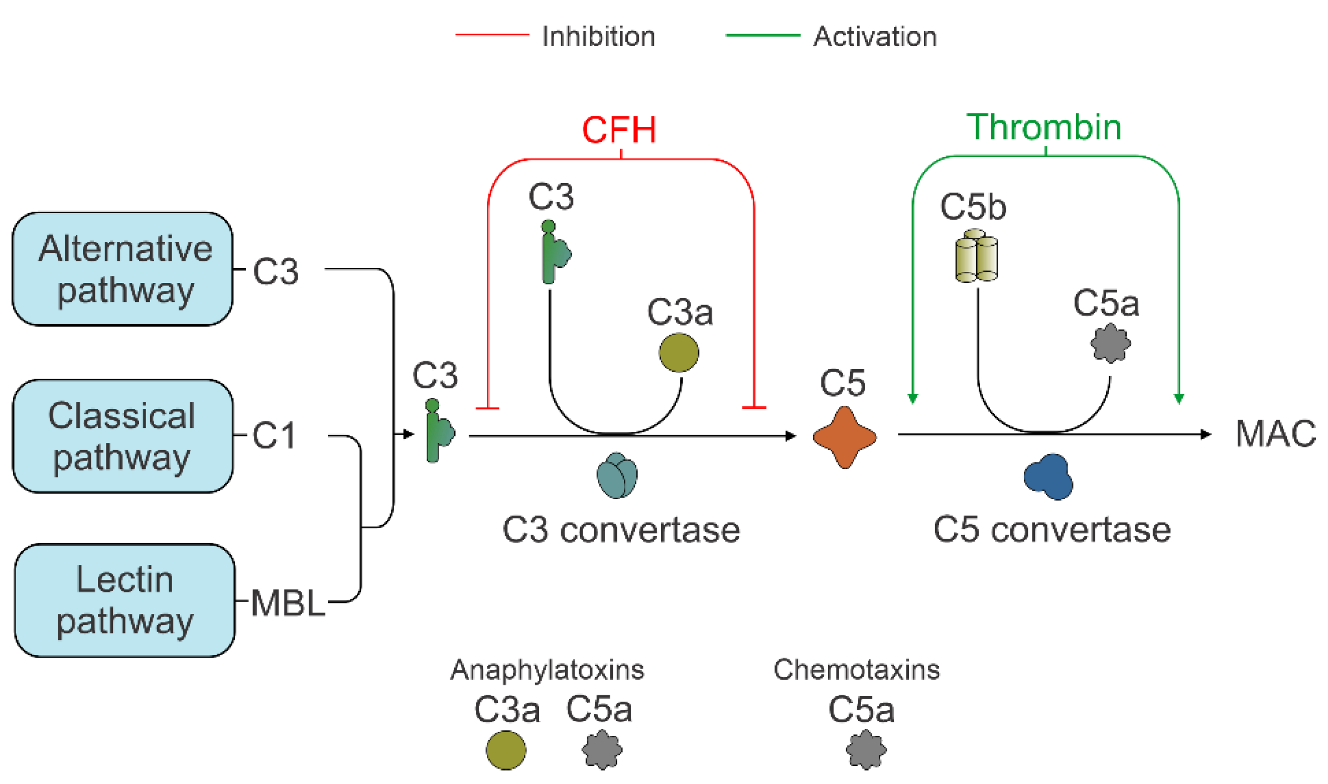 Biology 10 00622 g006