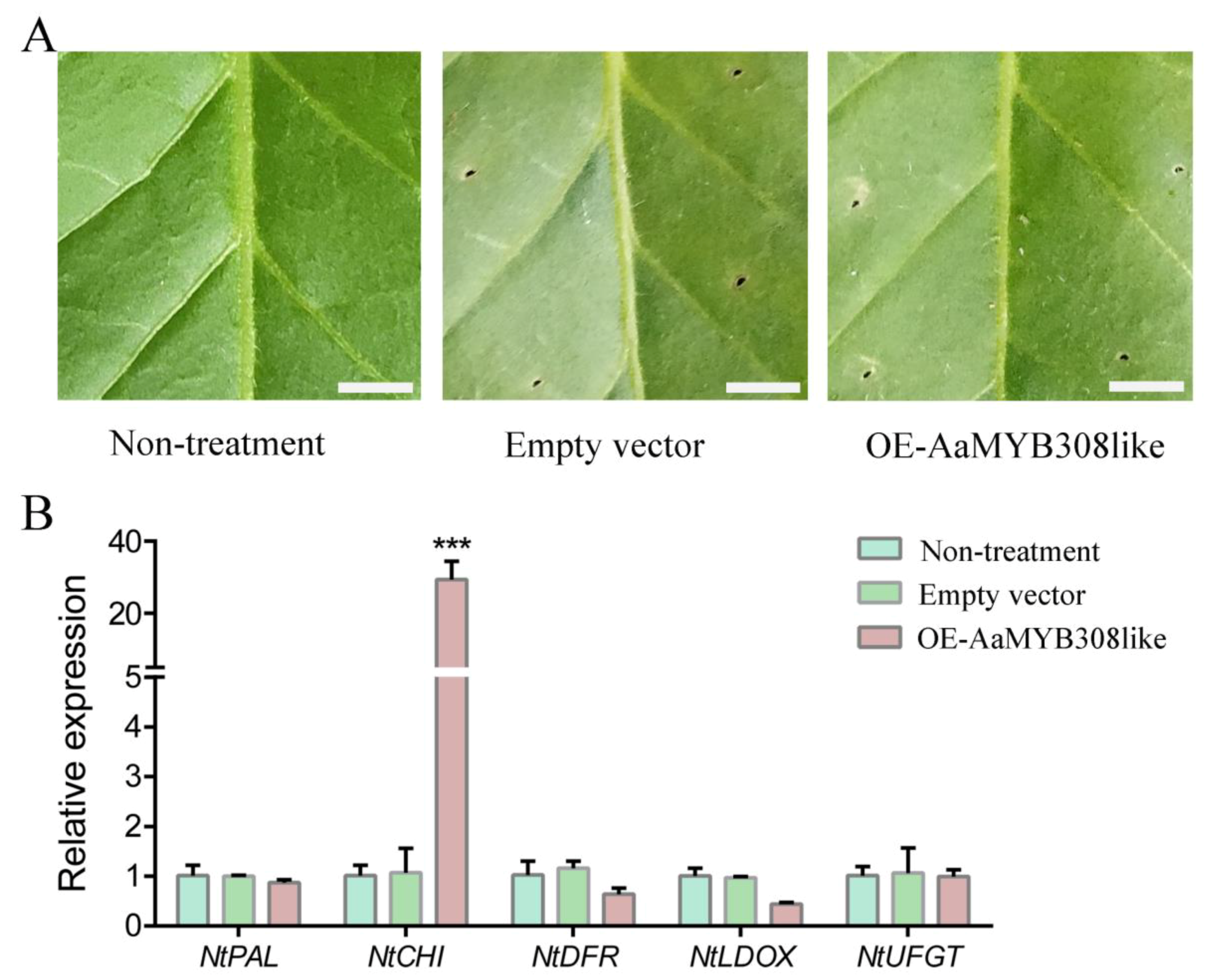 Biology 10 00648 g004