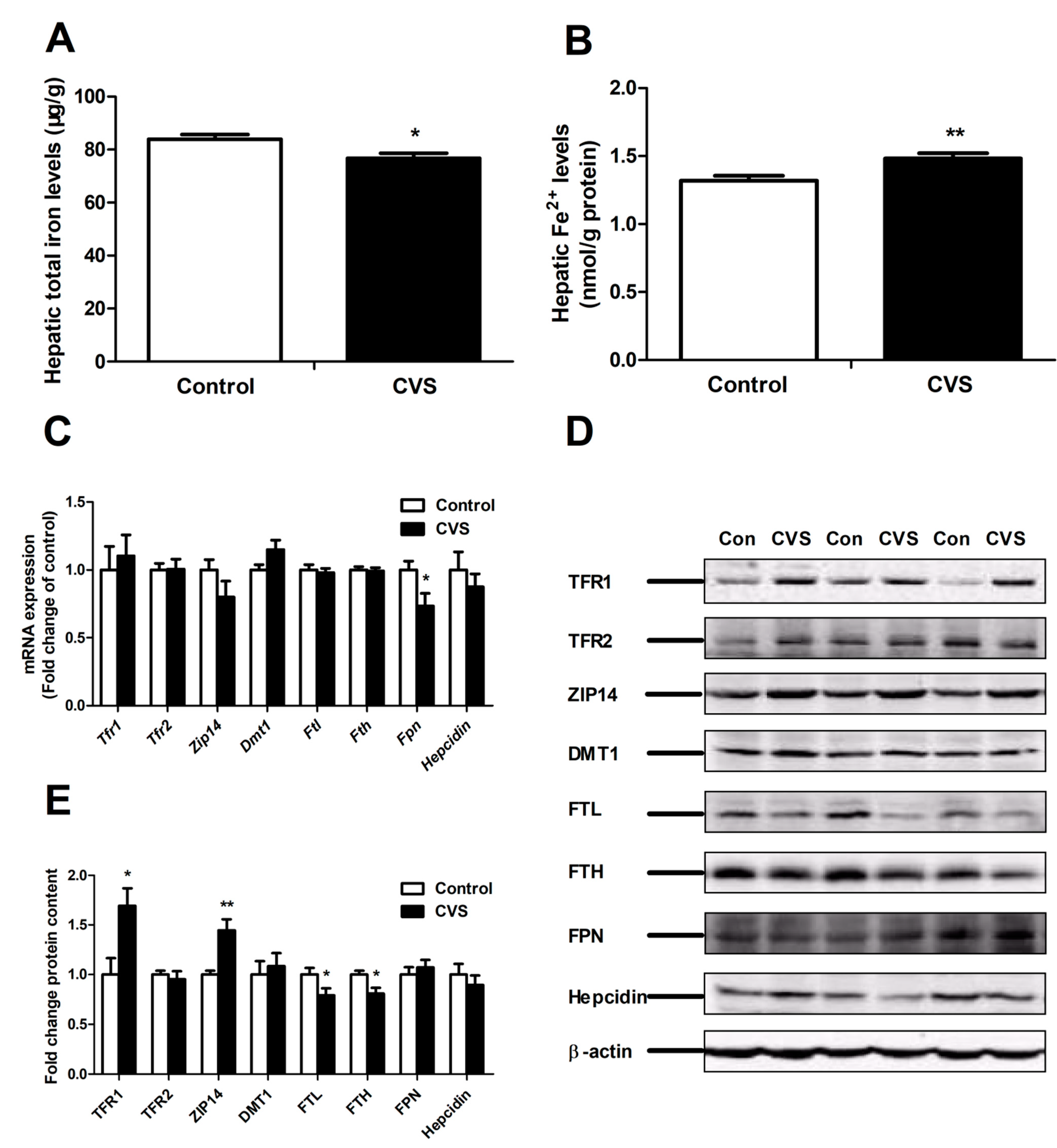 Biology 10 00653 g004