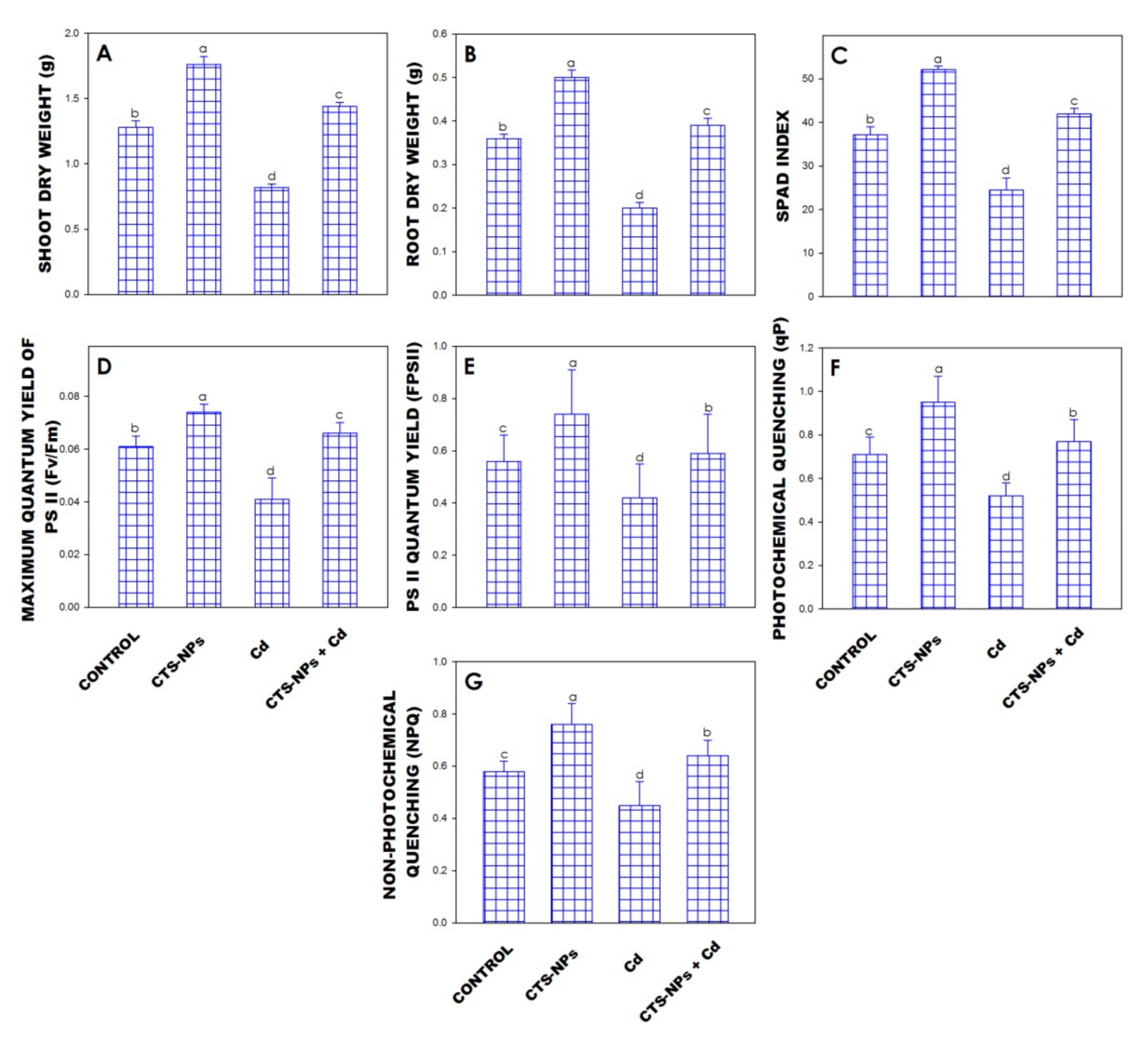 Biology 10 00666 g001