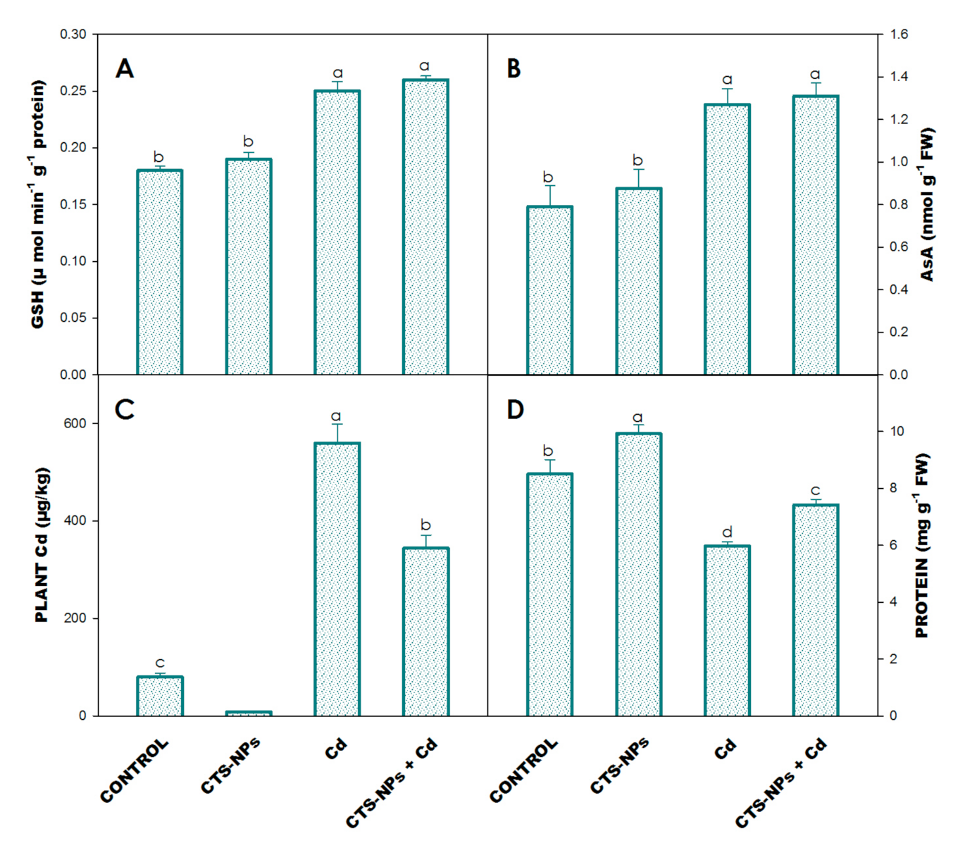 Biology 10 00666 g004