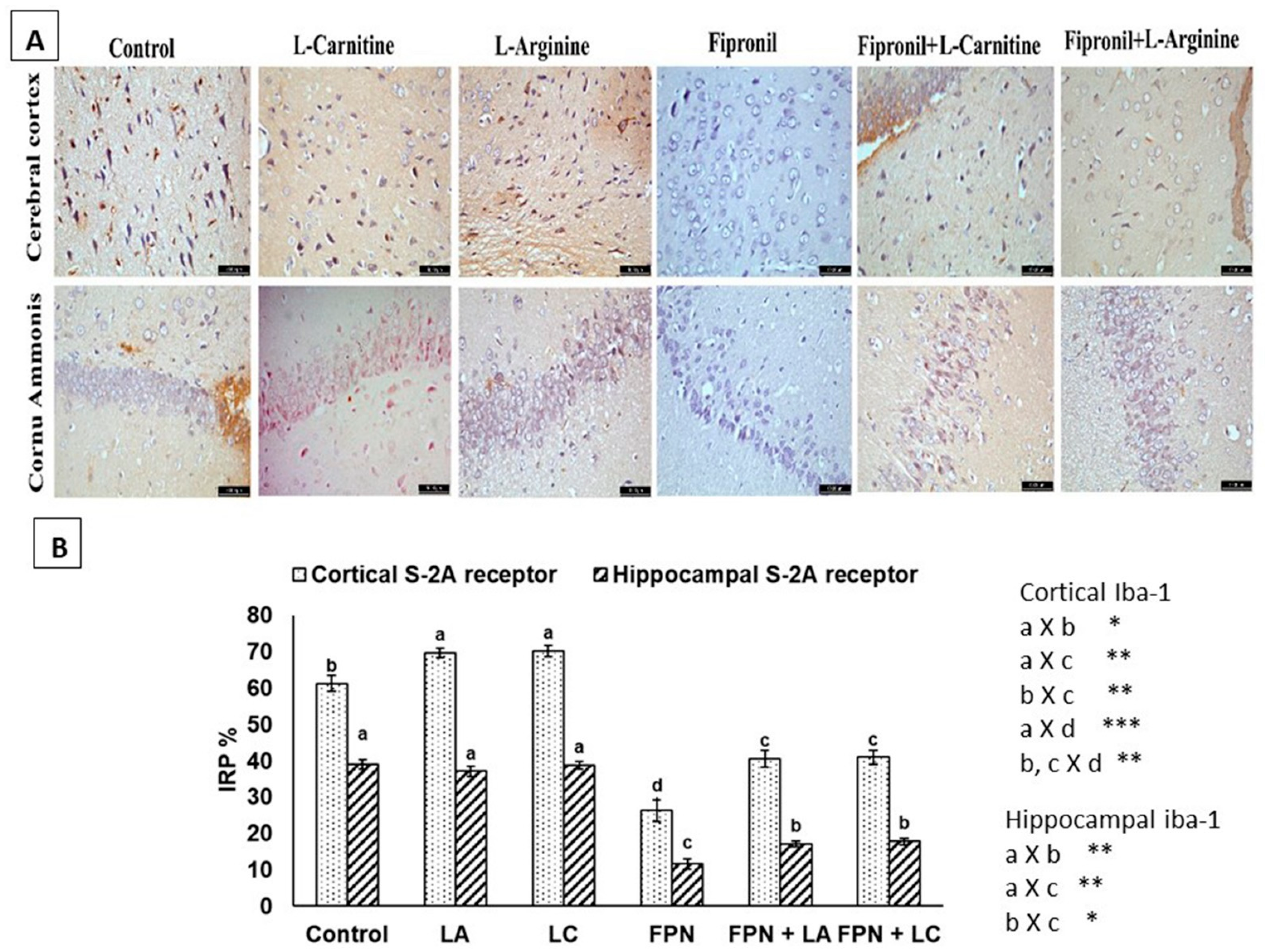 Is fipronil a neurotoxin