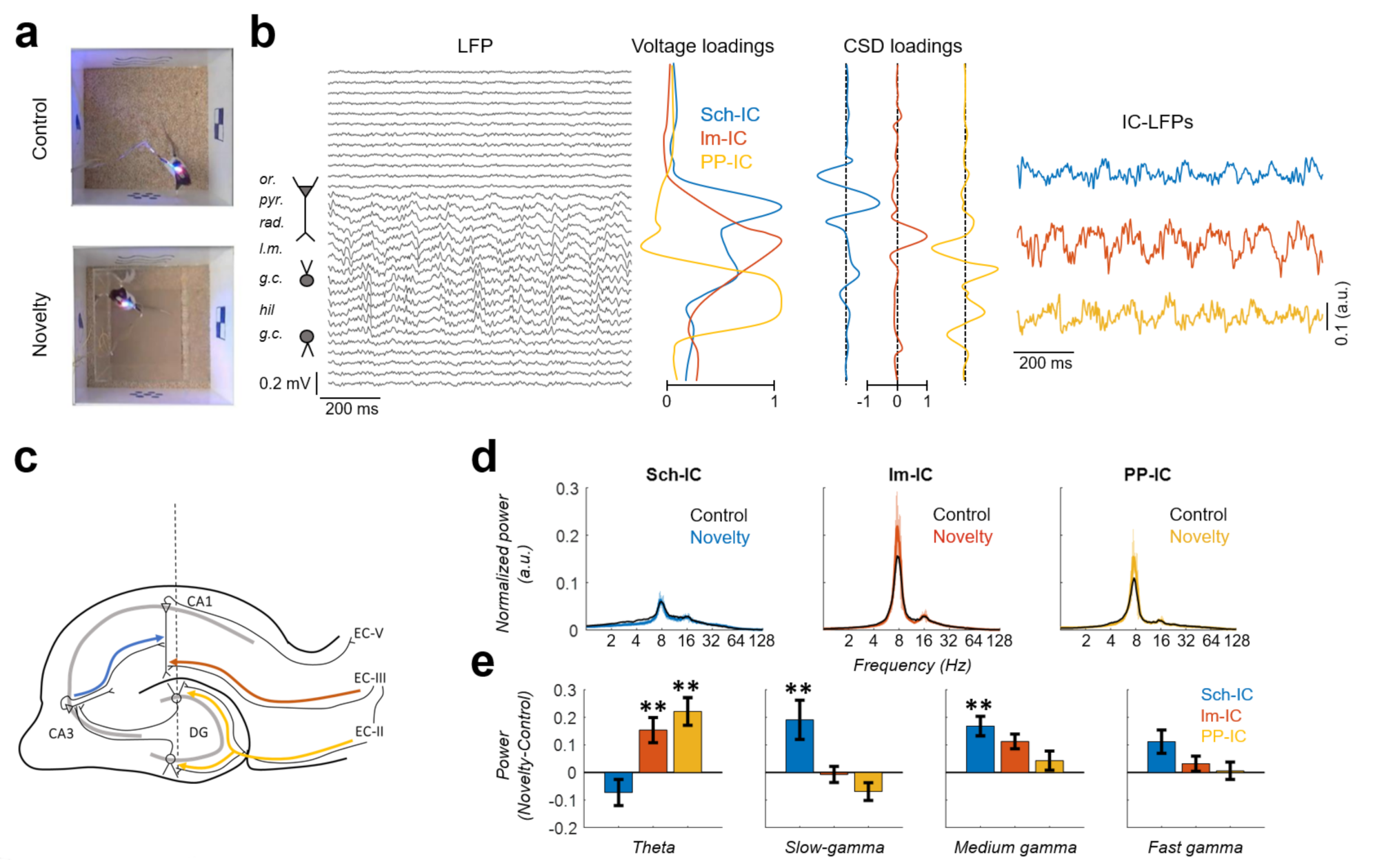 Associative and predictive hippocampal codes support memory-guided  behaviors