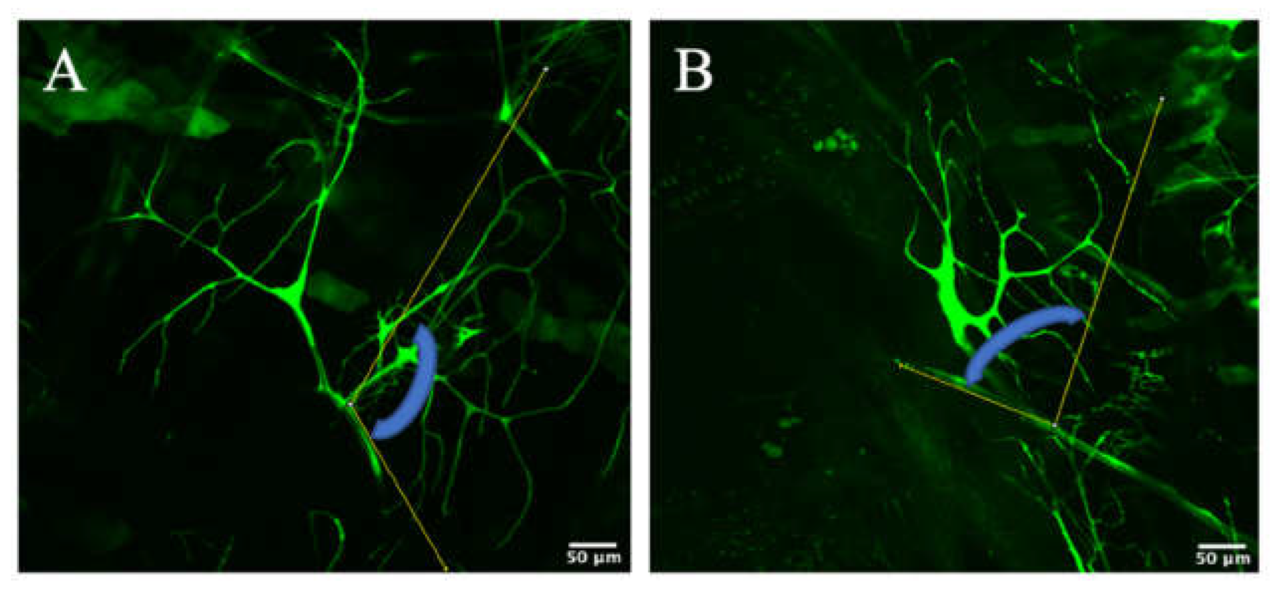 Biology 10 00729 g006