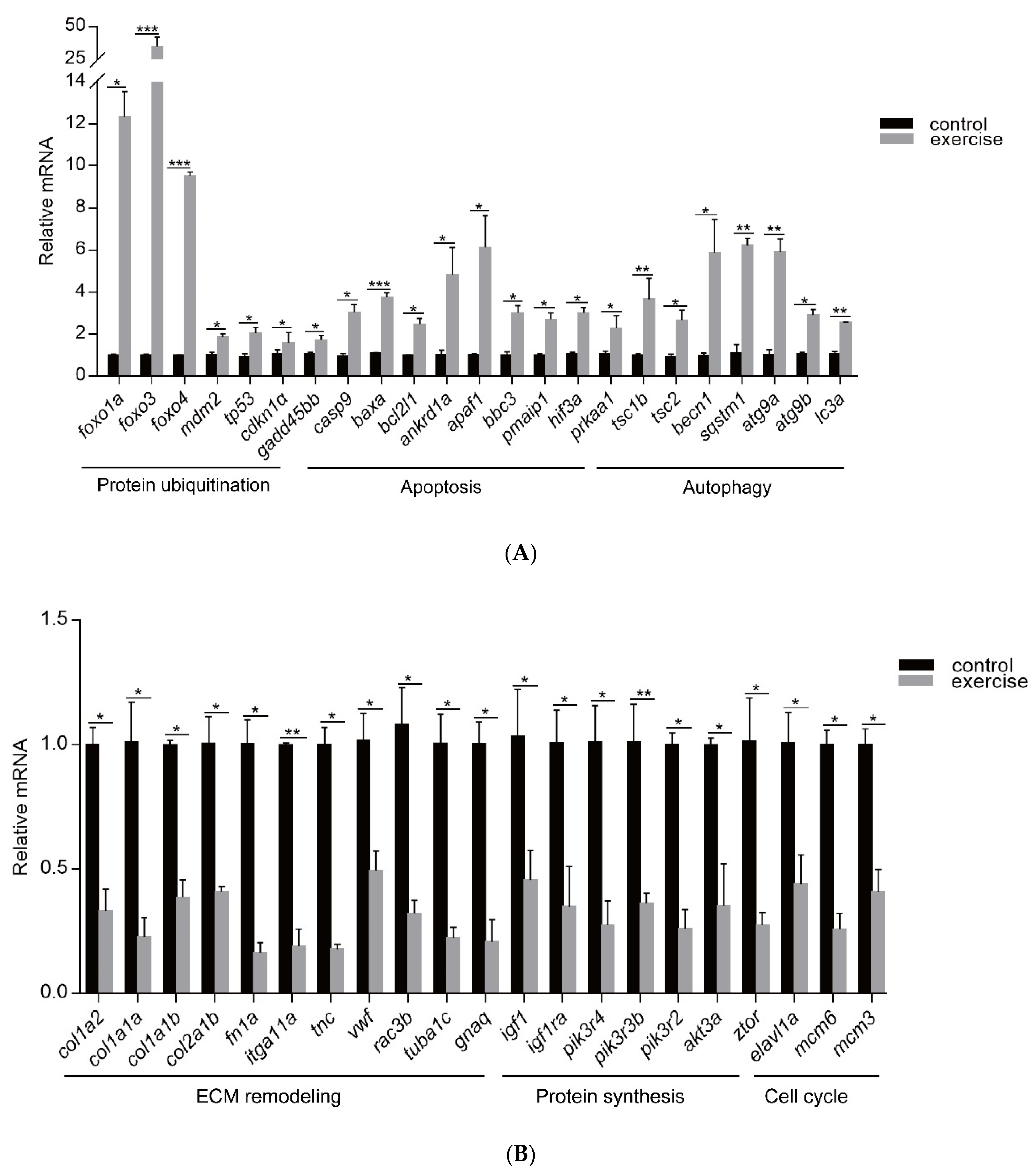 Biology 10 00761 g004