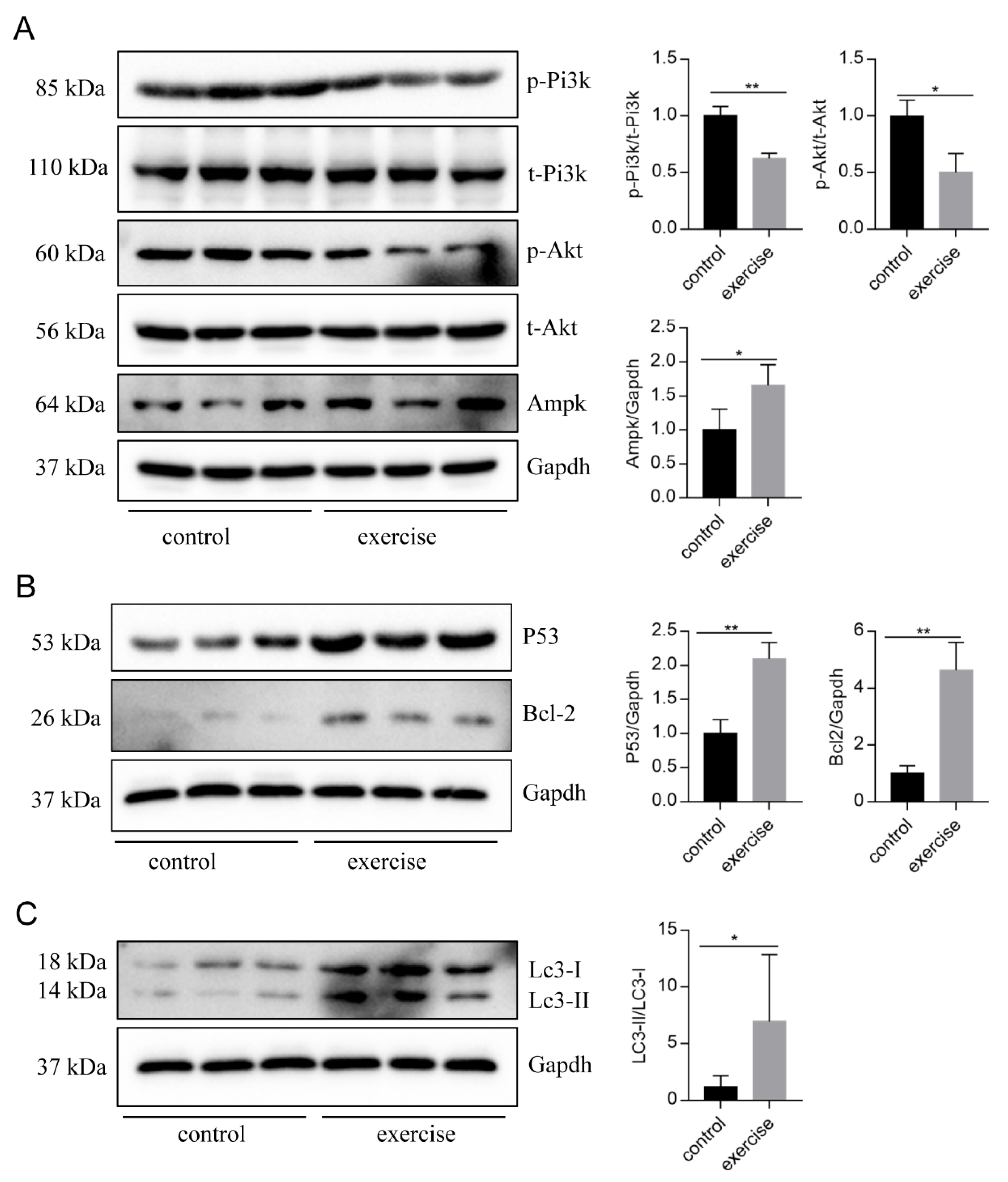 Biology 10 00761 g005