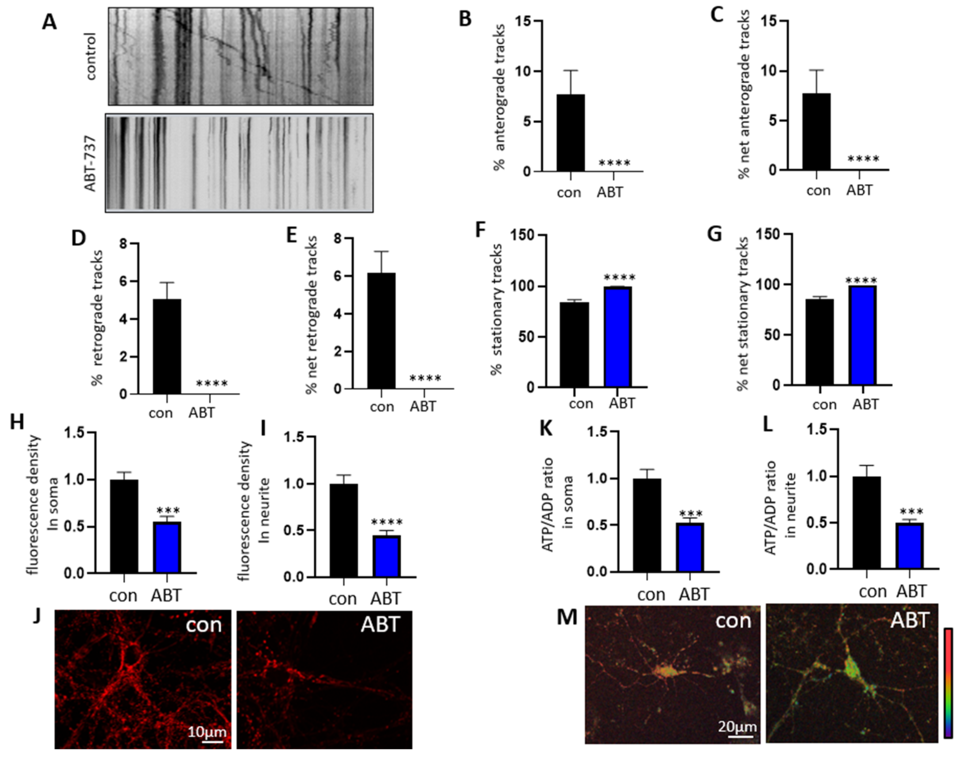 Biology 10 00772 g003