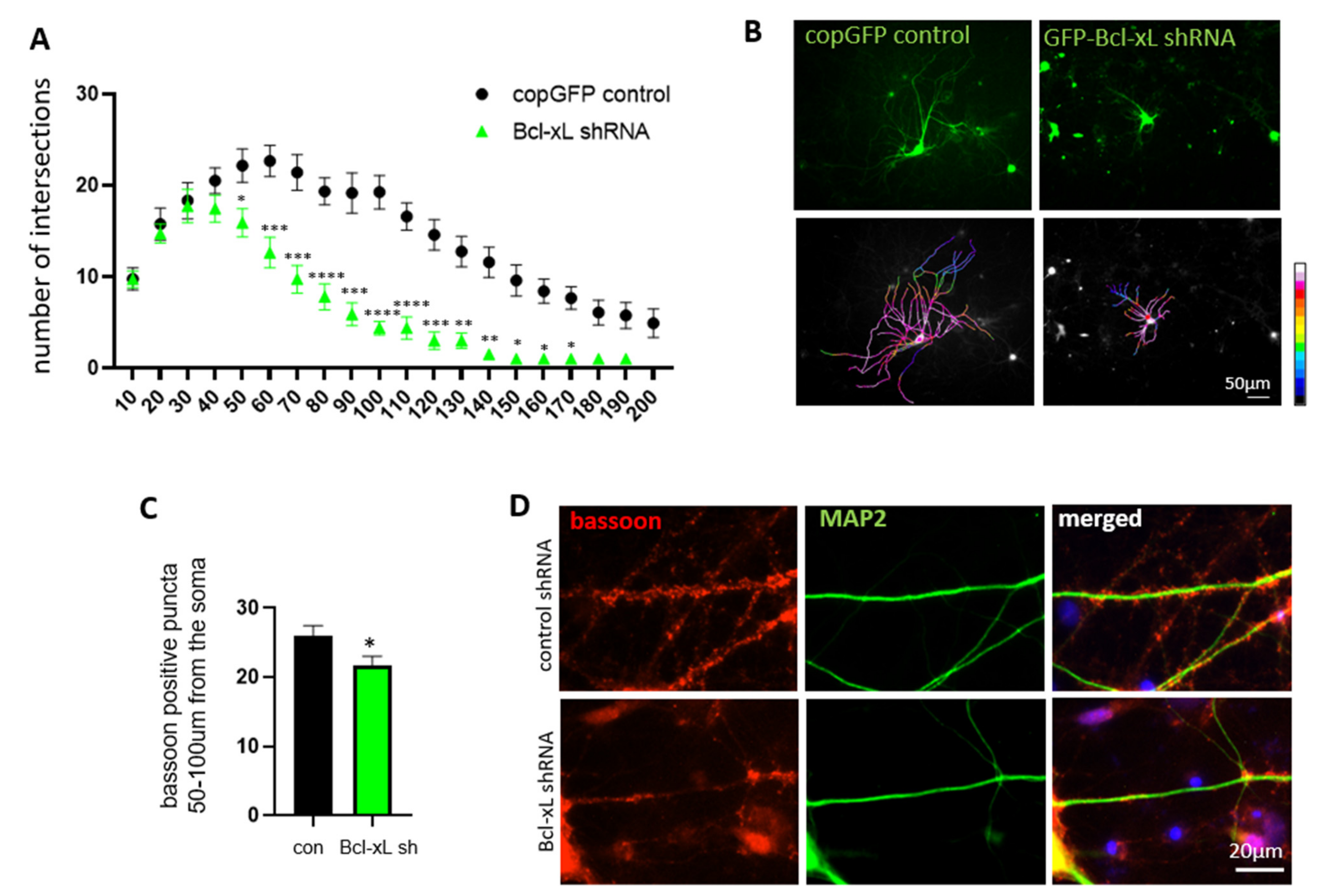 Biology 10 00772 g004