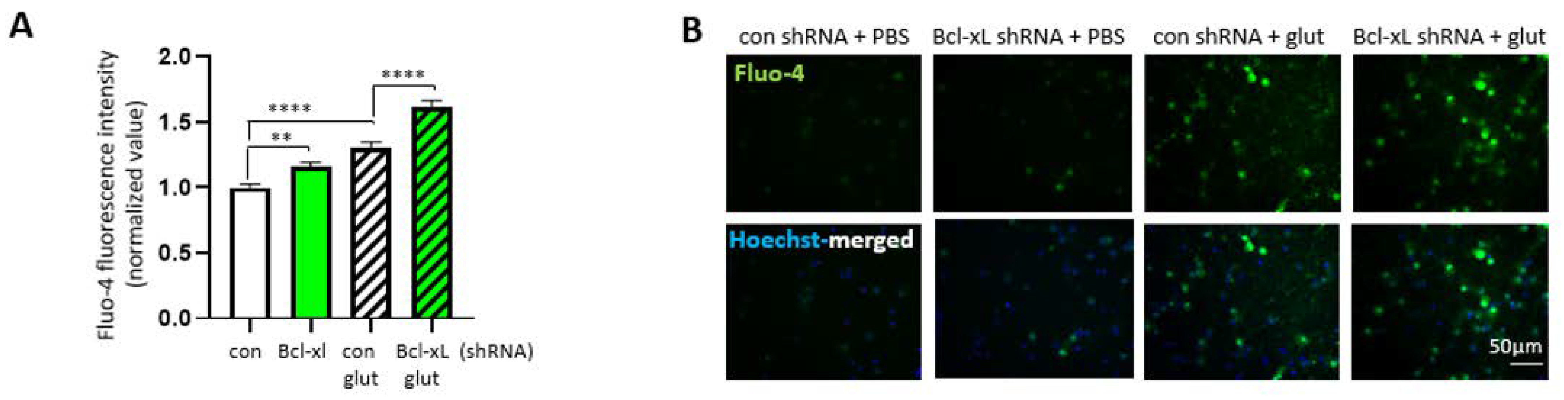 Biology 10 00772 g005a