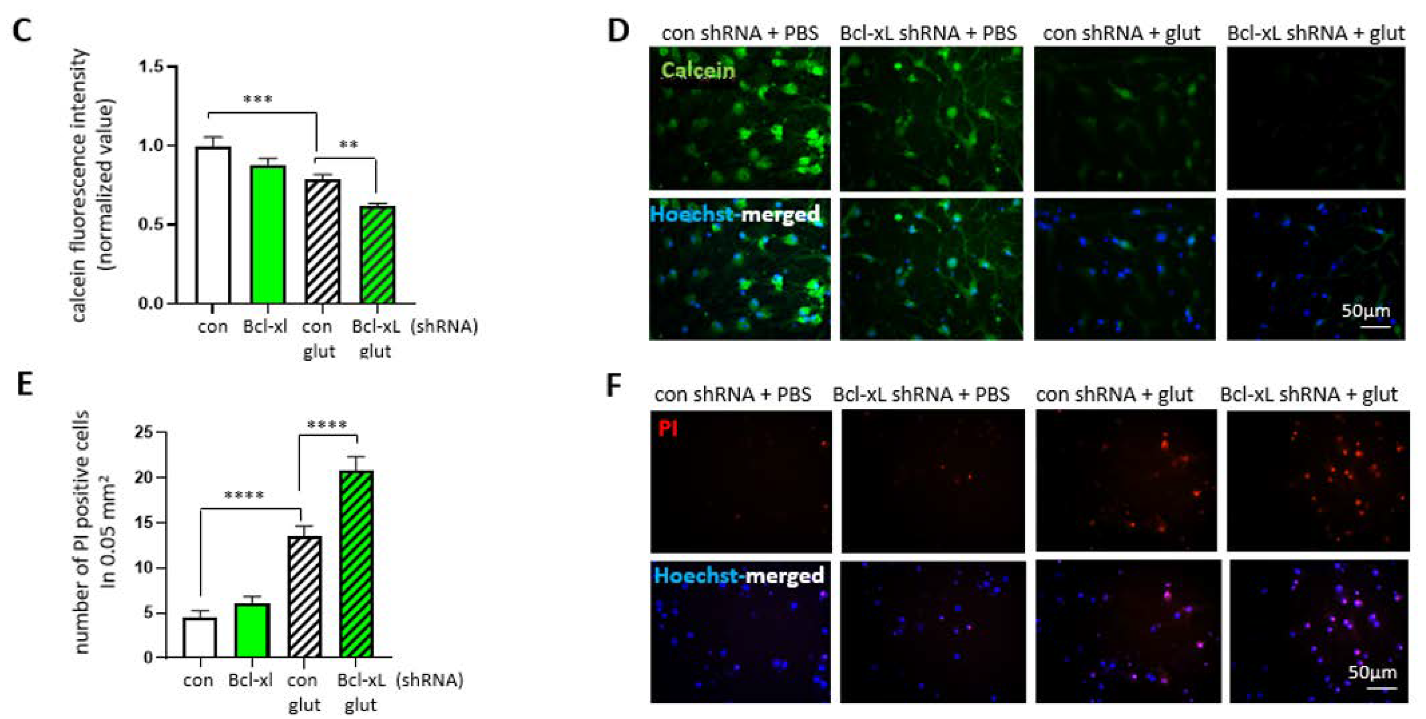 Biology 10 00772 g005b