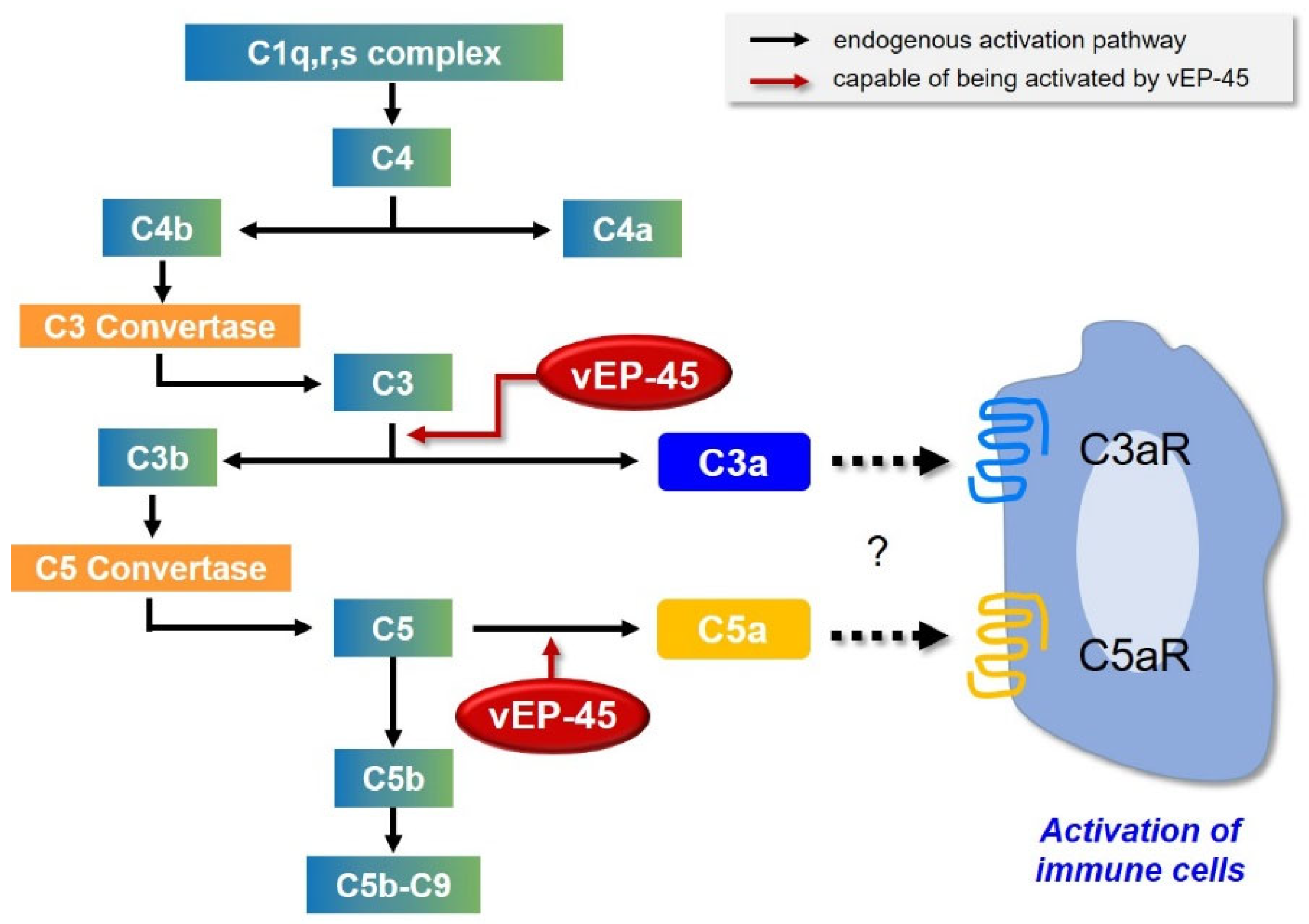 Biology 10 00798 g004 Biology 10 00798 g004
