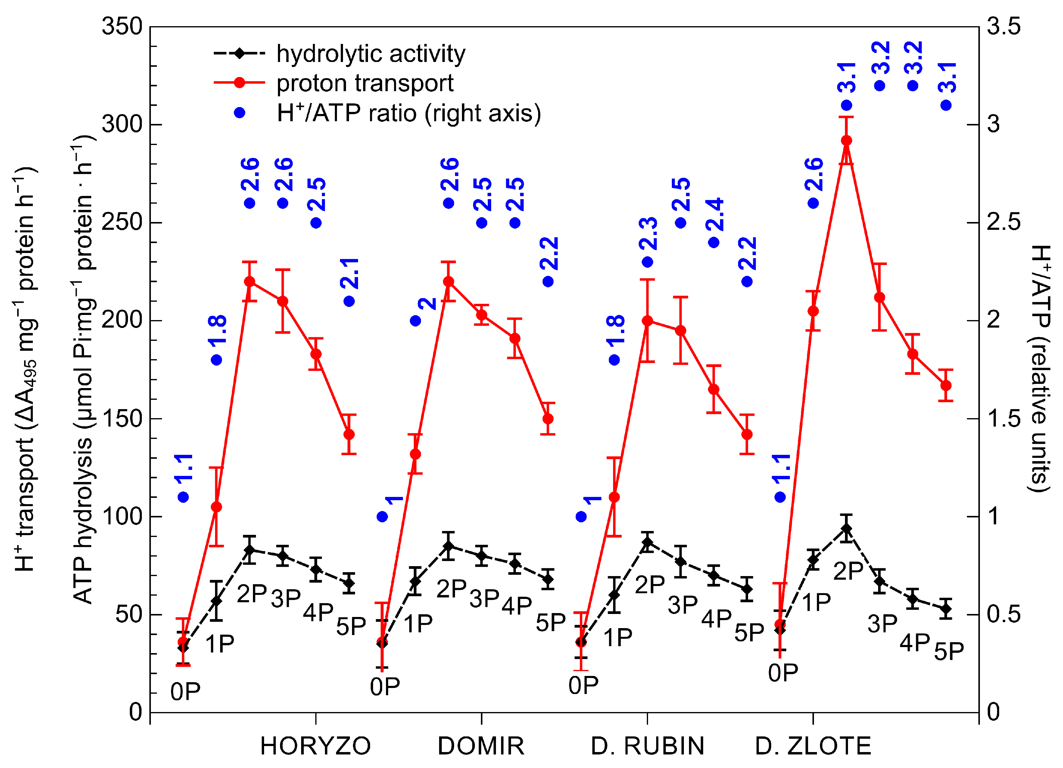 Biology 10 00818 g004
