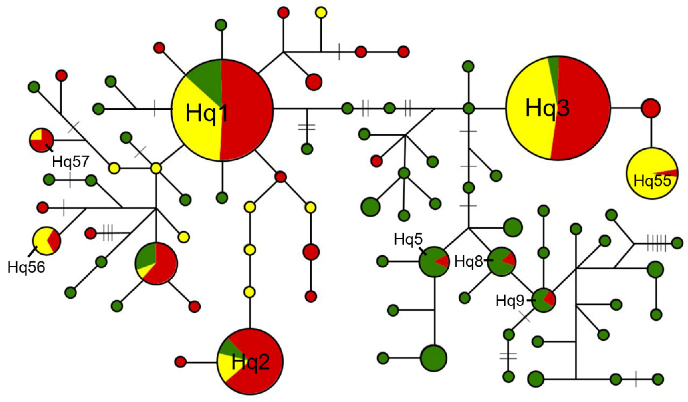 Biology 10 00828 g006