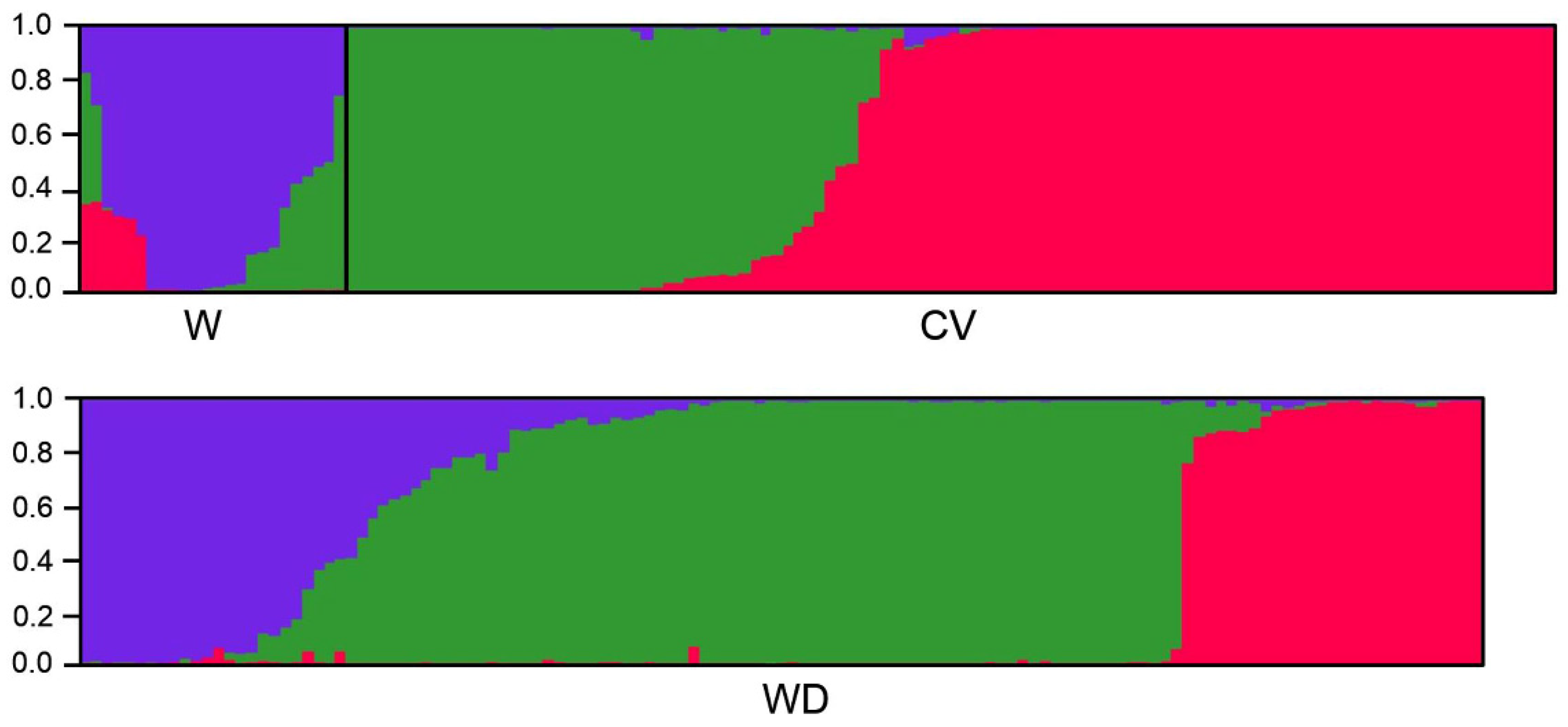 Biology 10 00828 g007