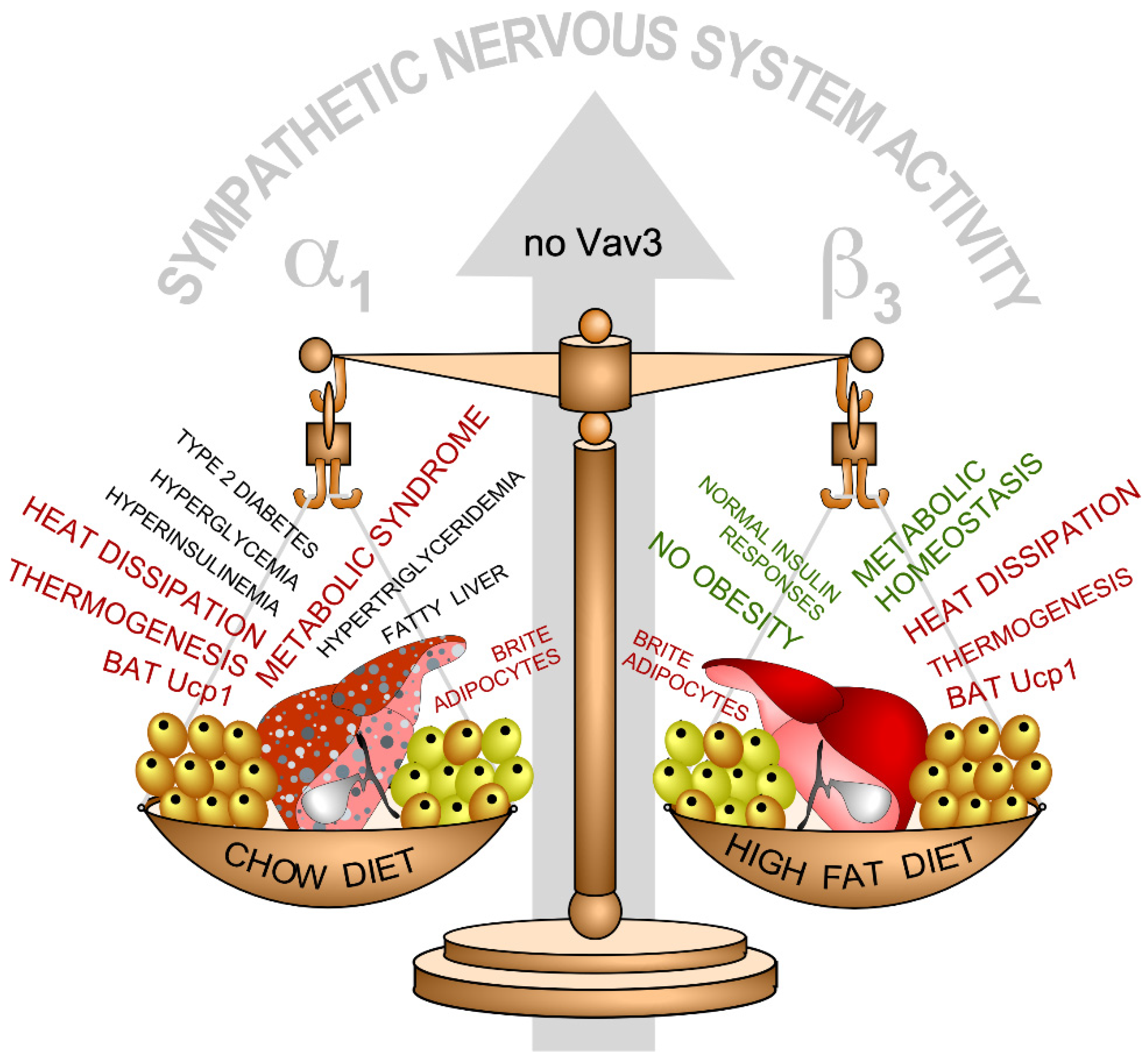 Biology 10 00857 g004
