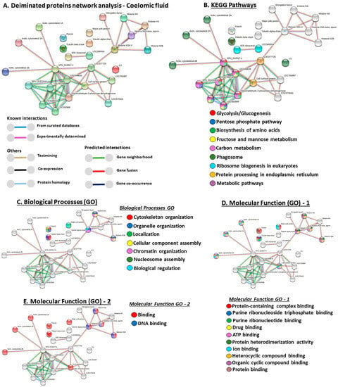 A network analysis of crab metamorphosis and the hypothesis of development  as a process of unfolding of an intensive complexity