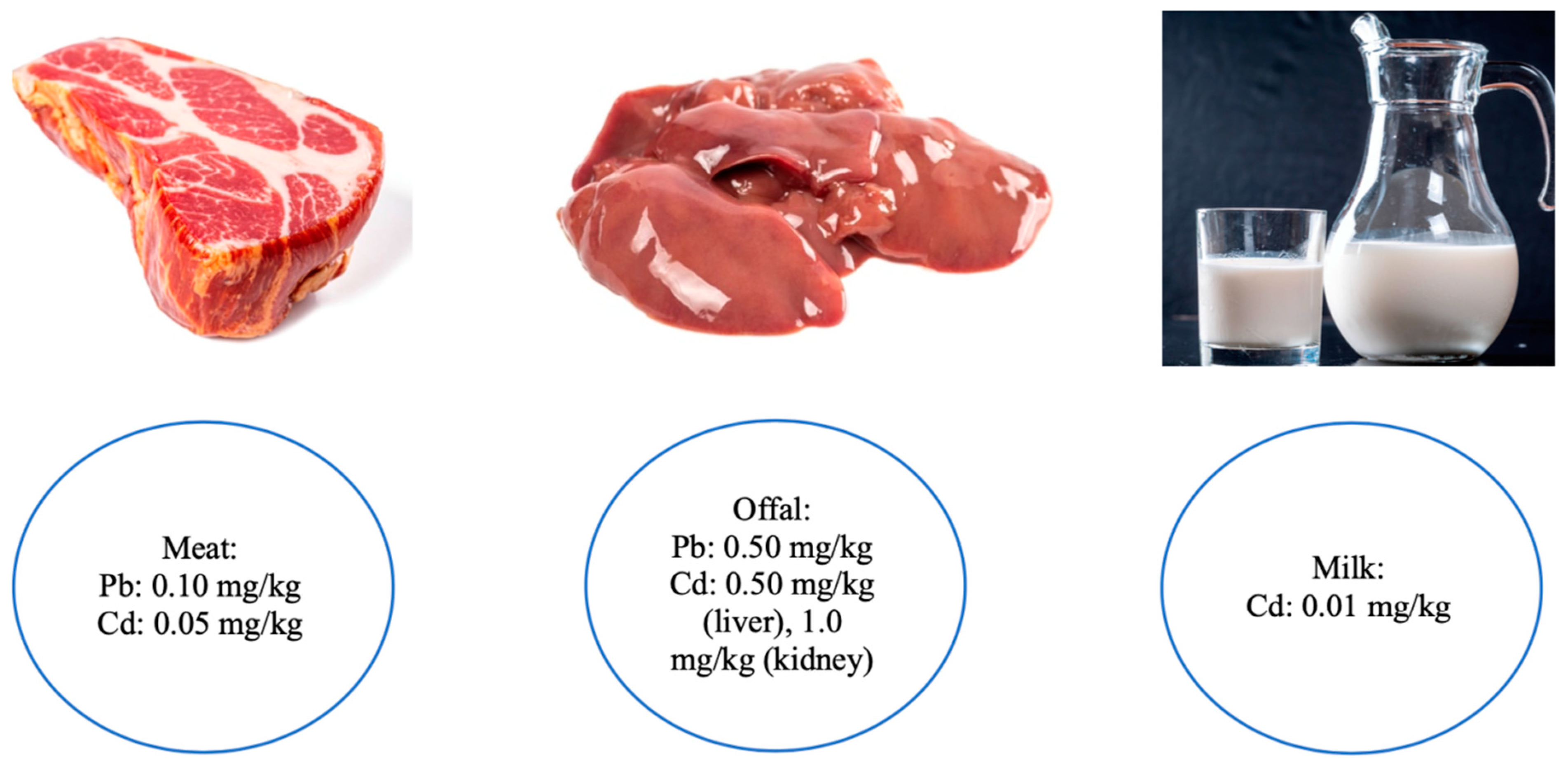 Biology 10 00882 g001 Biology 10 00882 g001