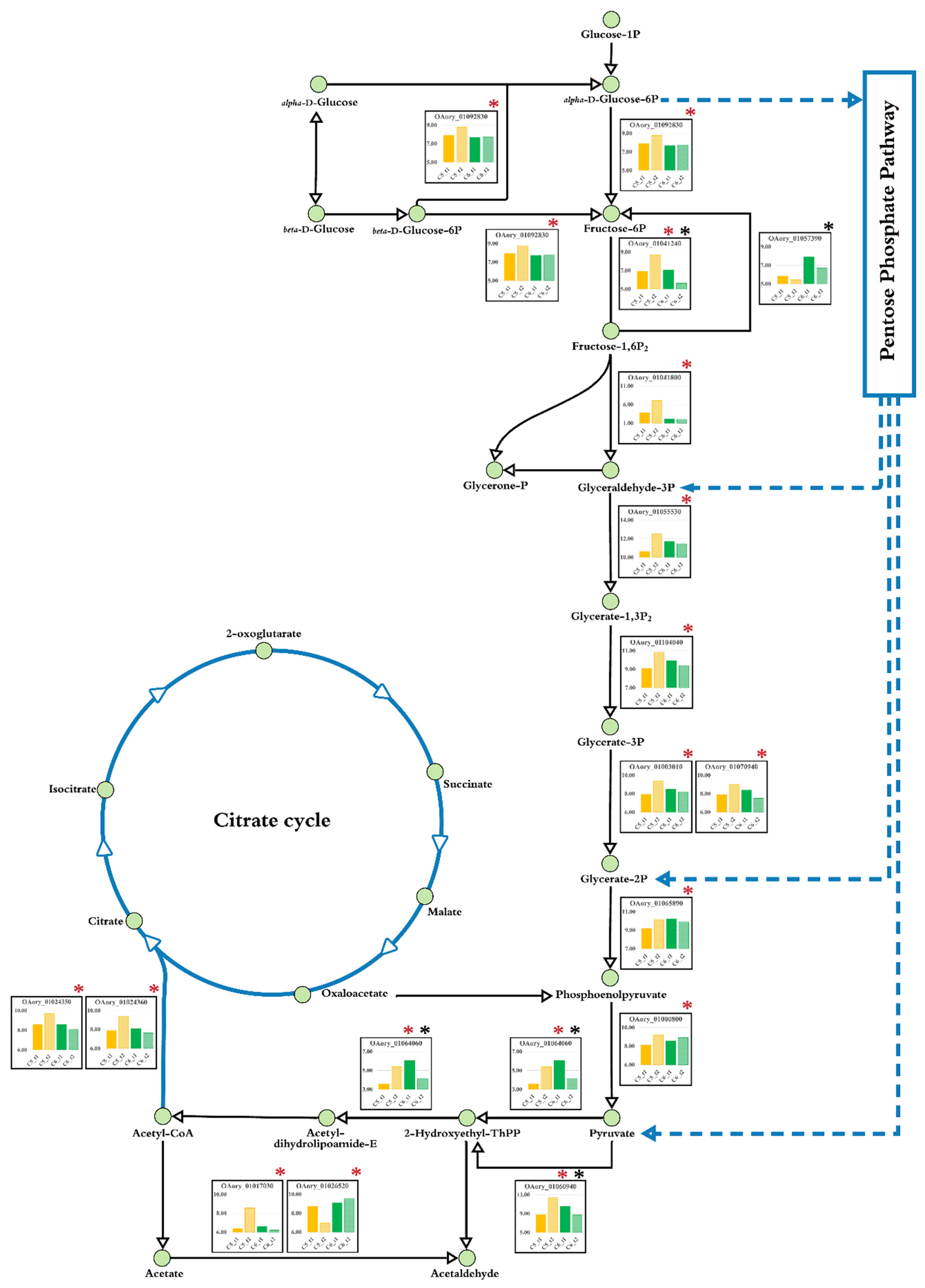Biology 10 00885 g004