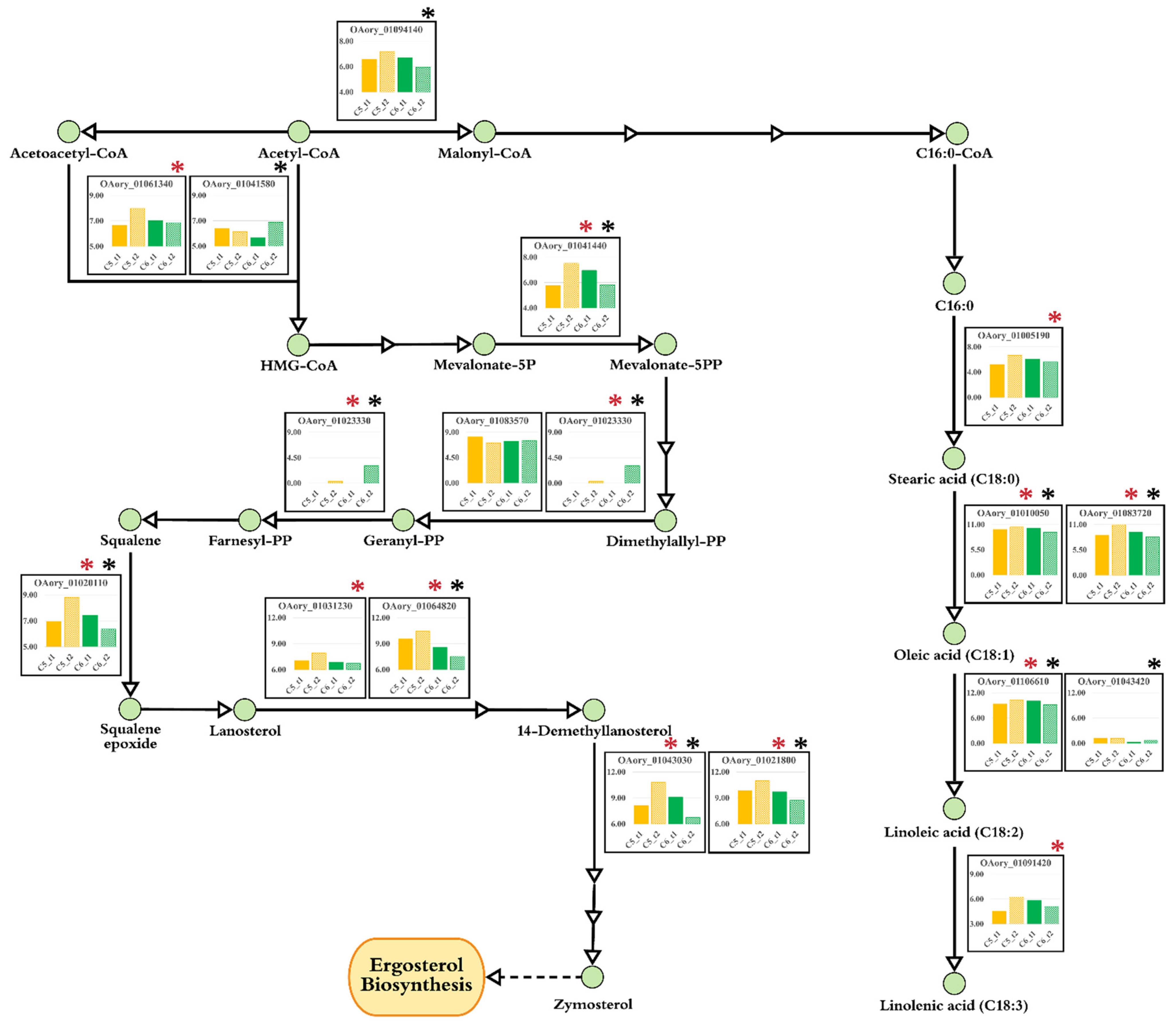 Biology 10 00885 g005