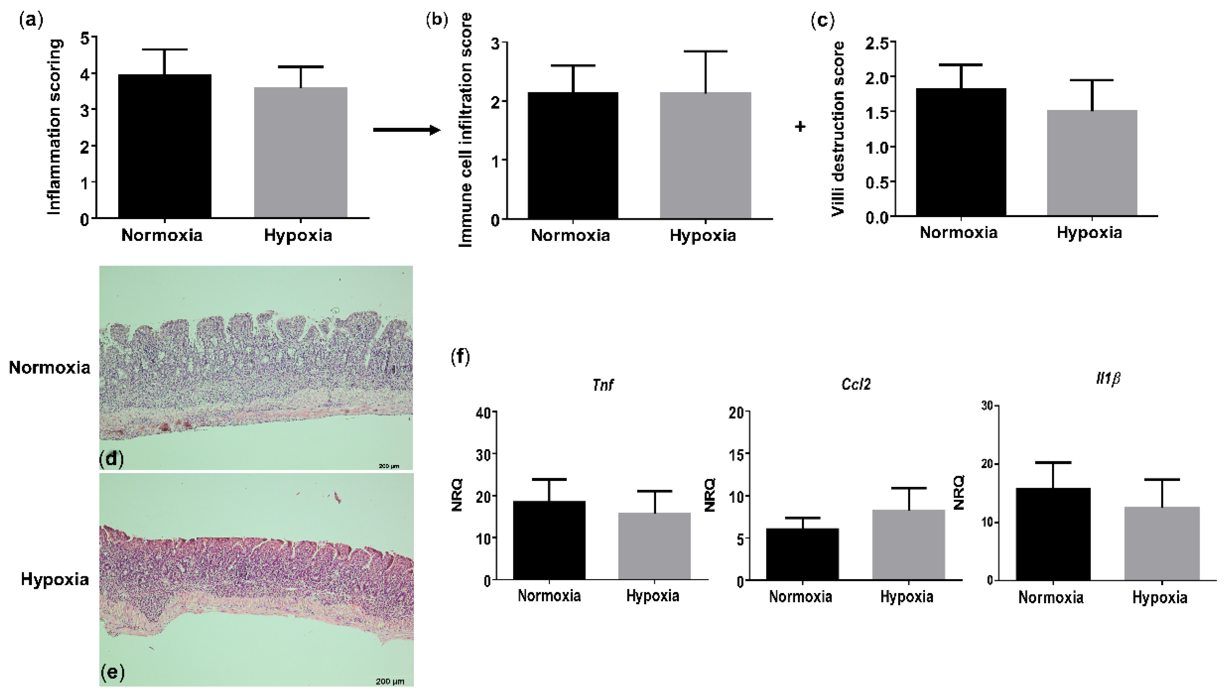 Biology 10 00887 g005
