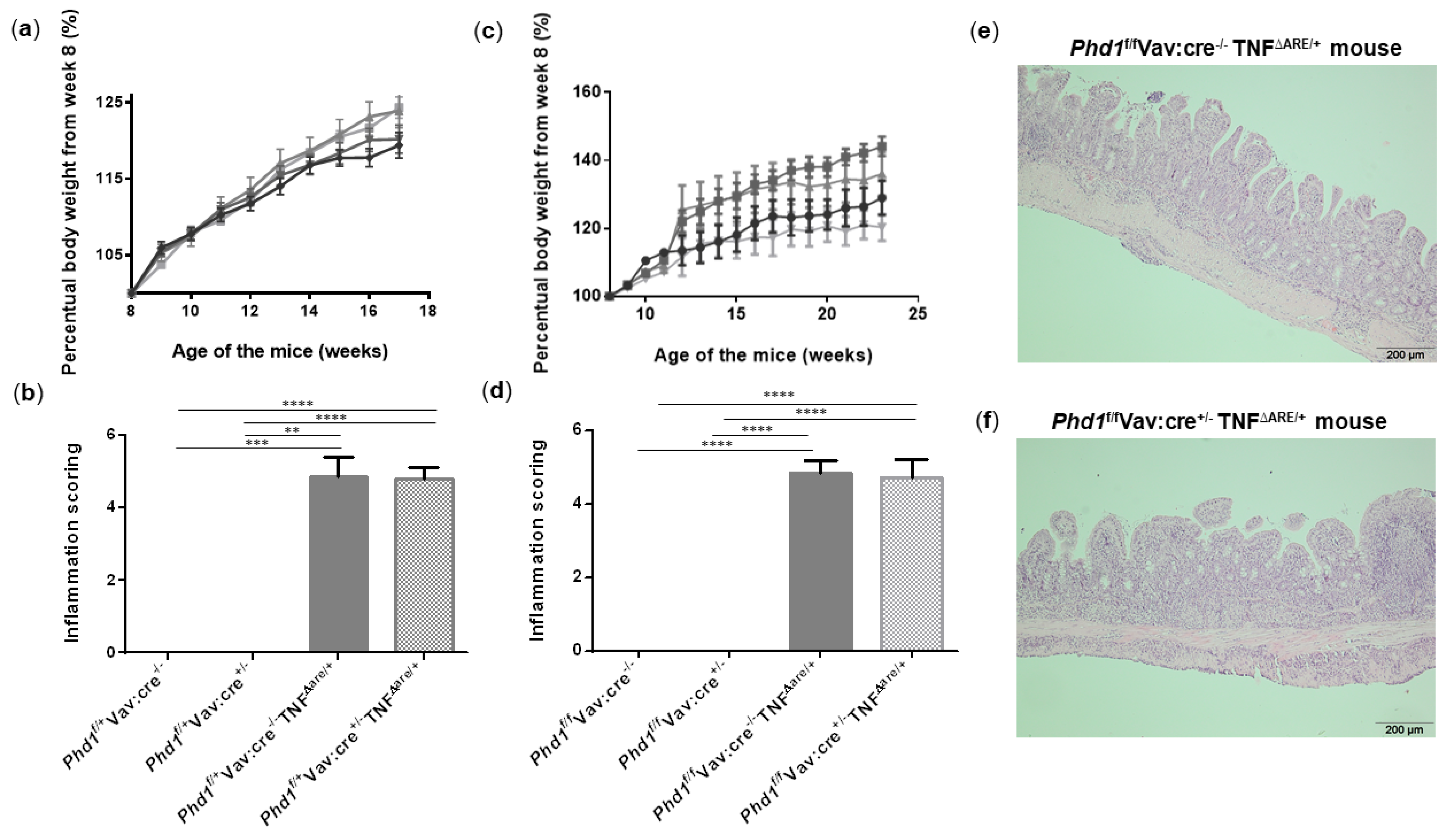 Biology 10 00887 g006