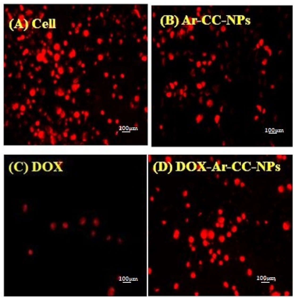Biology Free Full Text Lc Ms Ms Proteomic Study Of Mcf 7 Cell Treated With Dox And Dox Loaded Calcium Carbonate Nanoparticles Revealed Changes In Proteins Related To Glycolysis Actin Signalling And Energy Metabolism