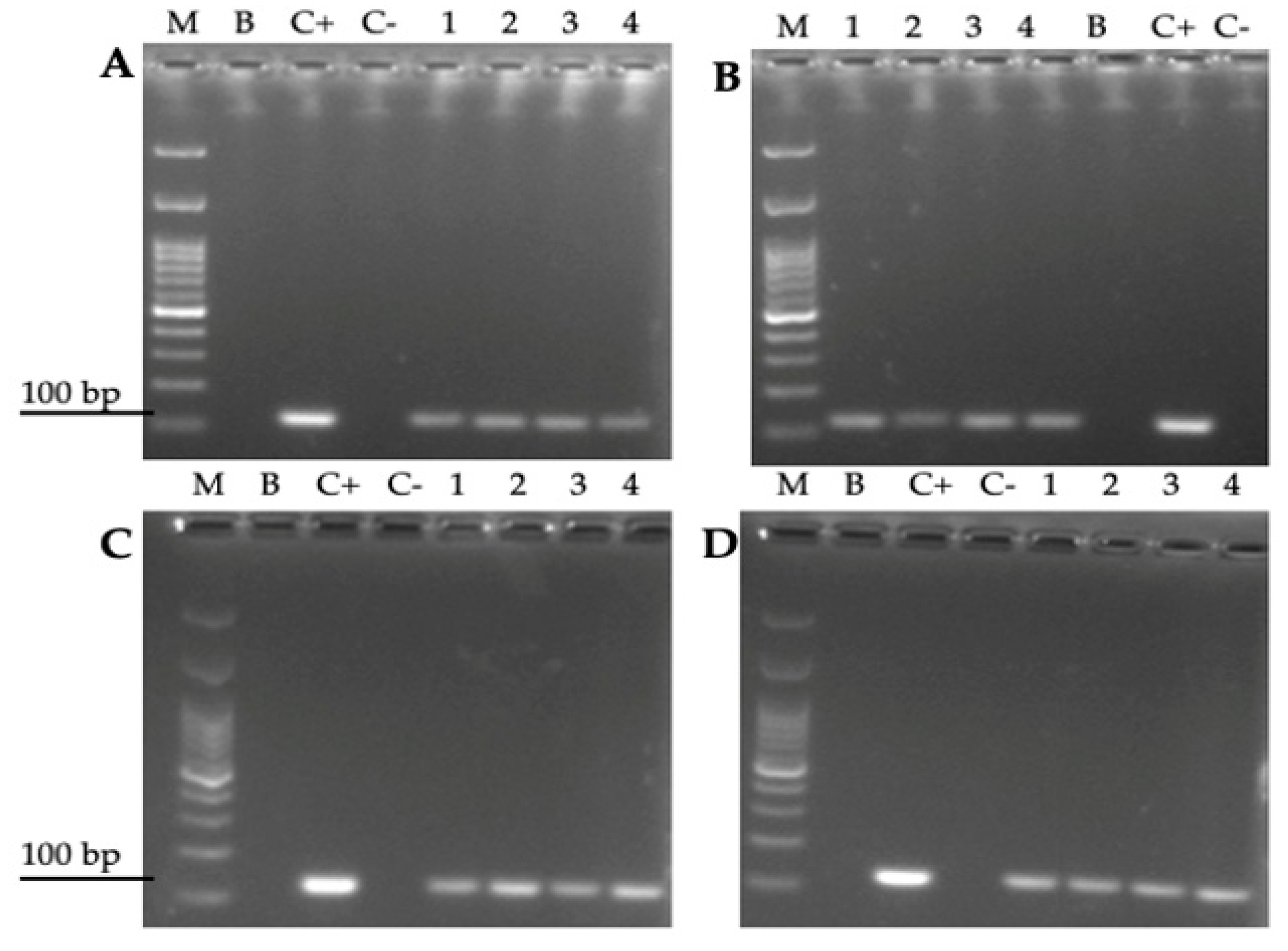 Biology 10 00915 g008