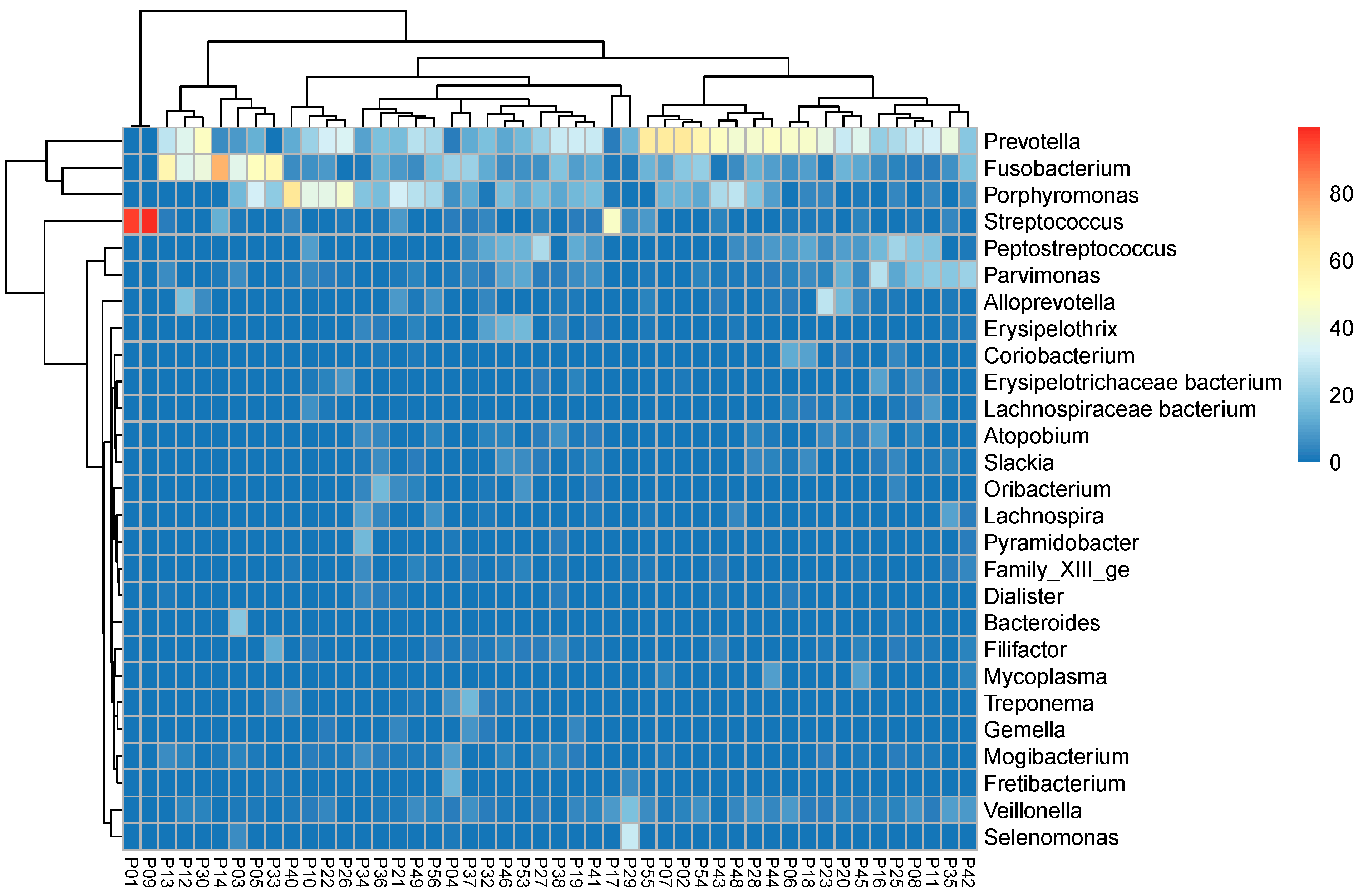 Biology 10 00916 g004