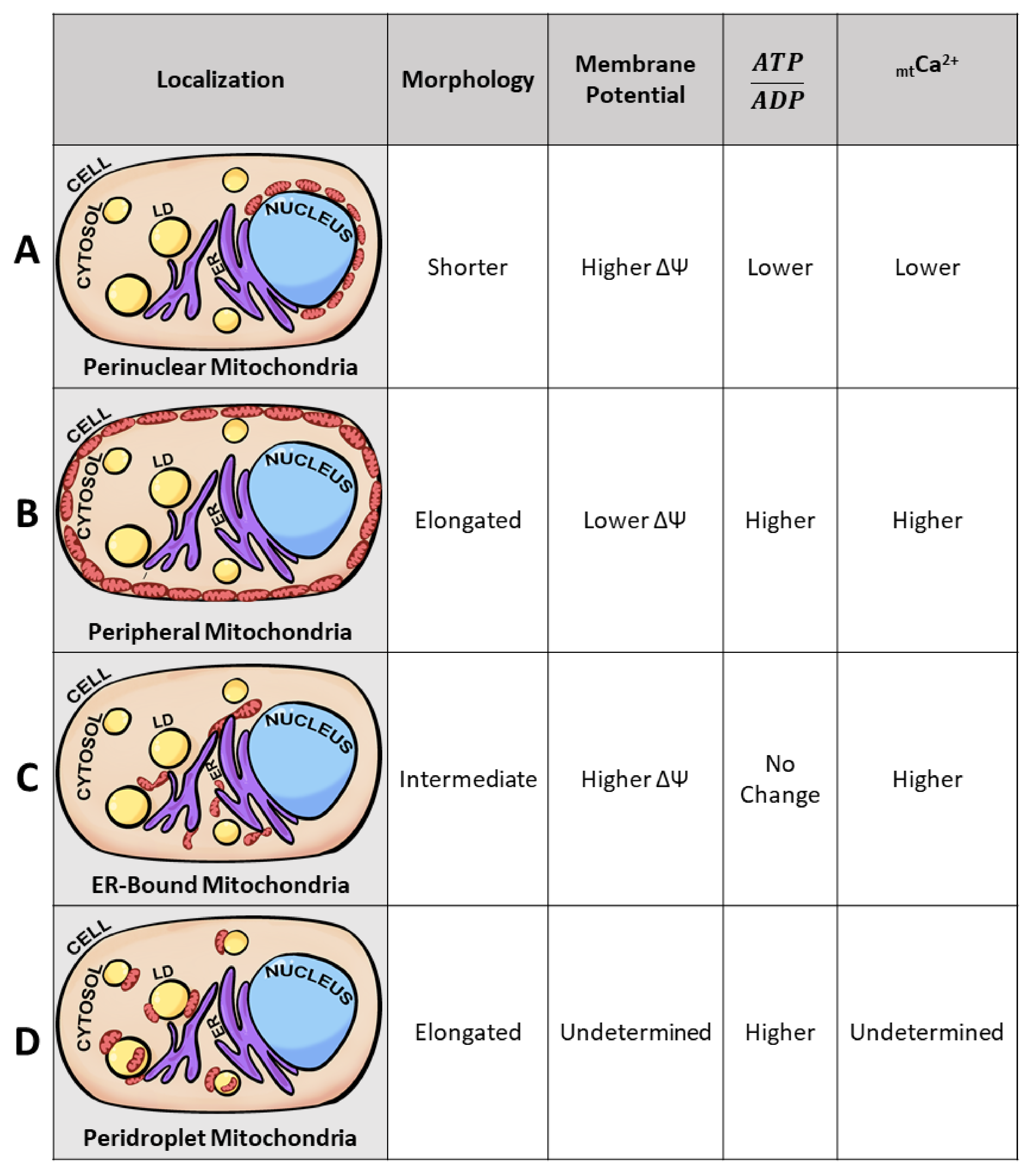 Biology 10 00927 g003 Biology 10 00927 g003