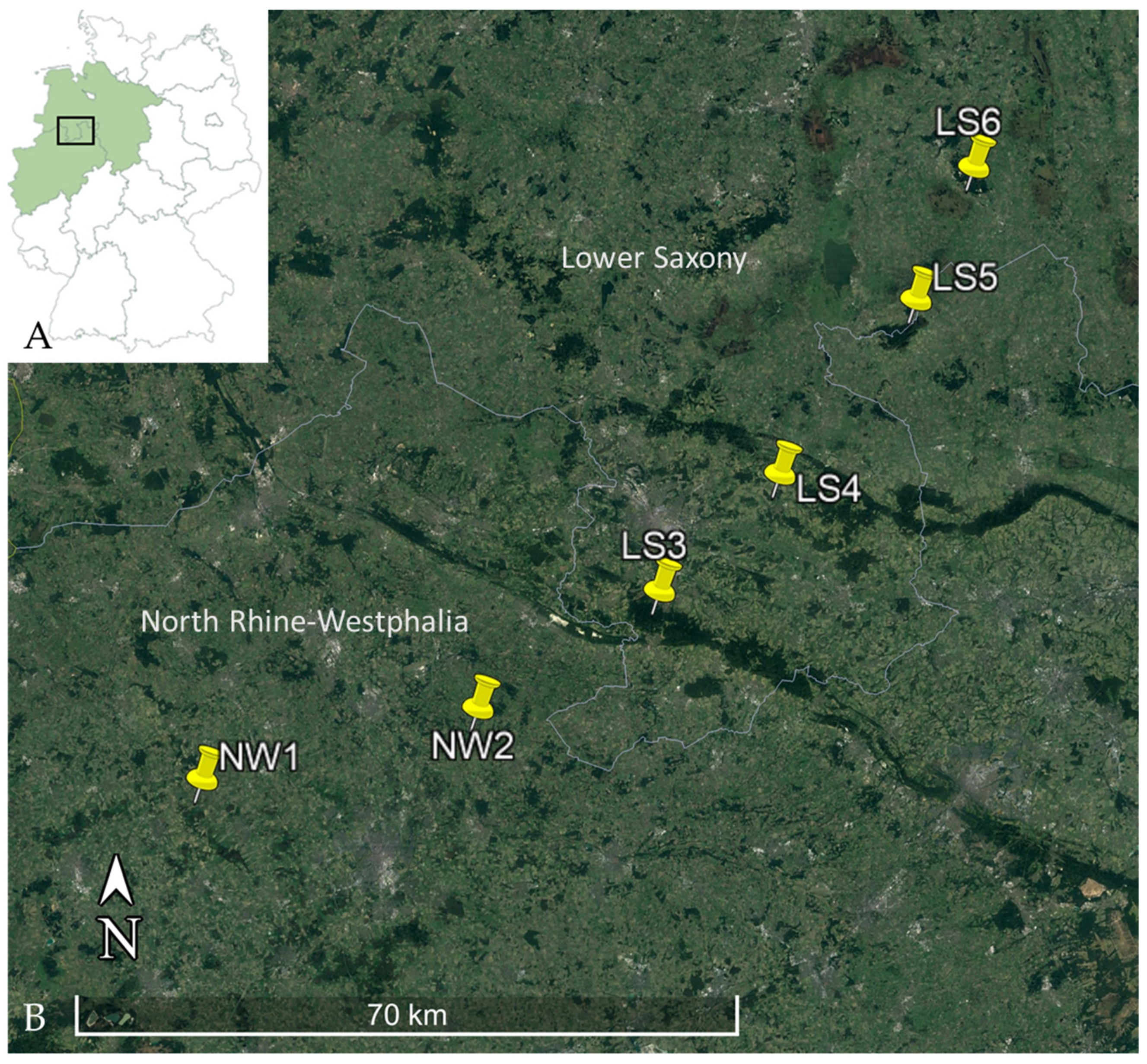Biology 10 00933 g001 Biology 10 00933 g001