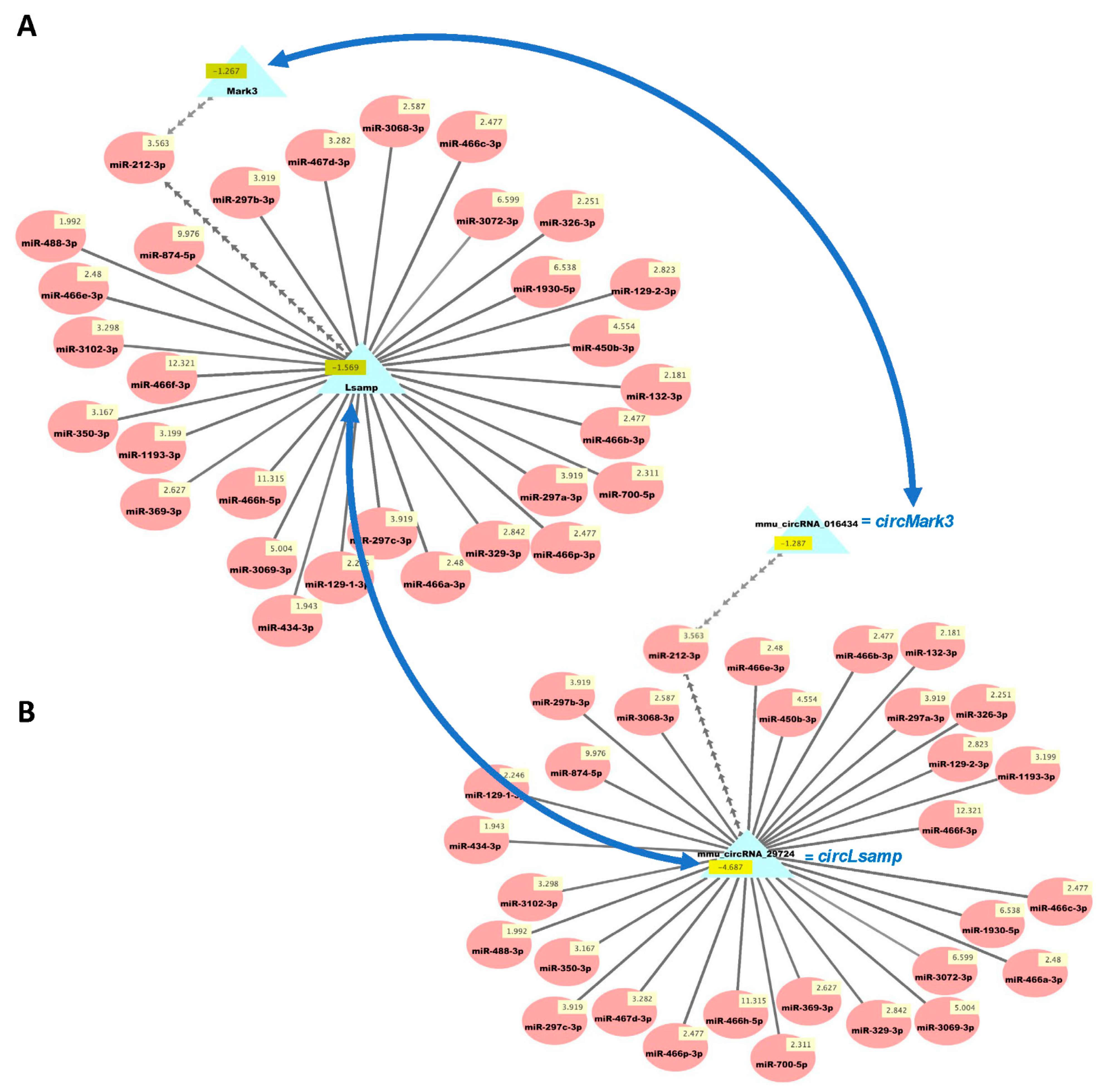 Biology 10 00939 g005