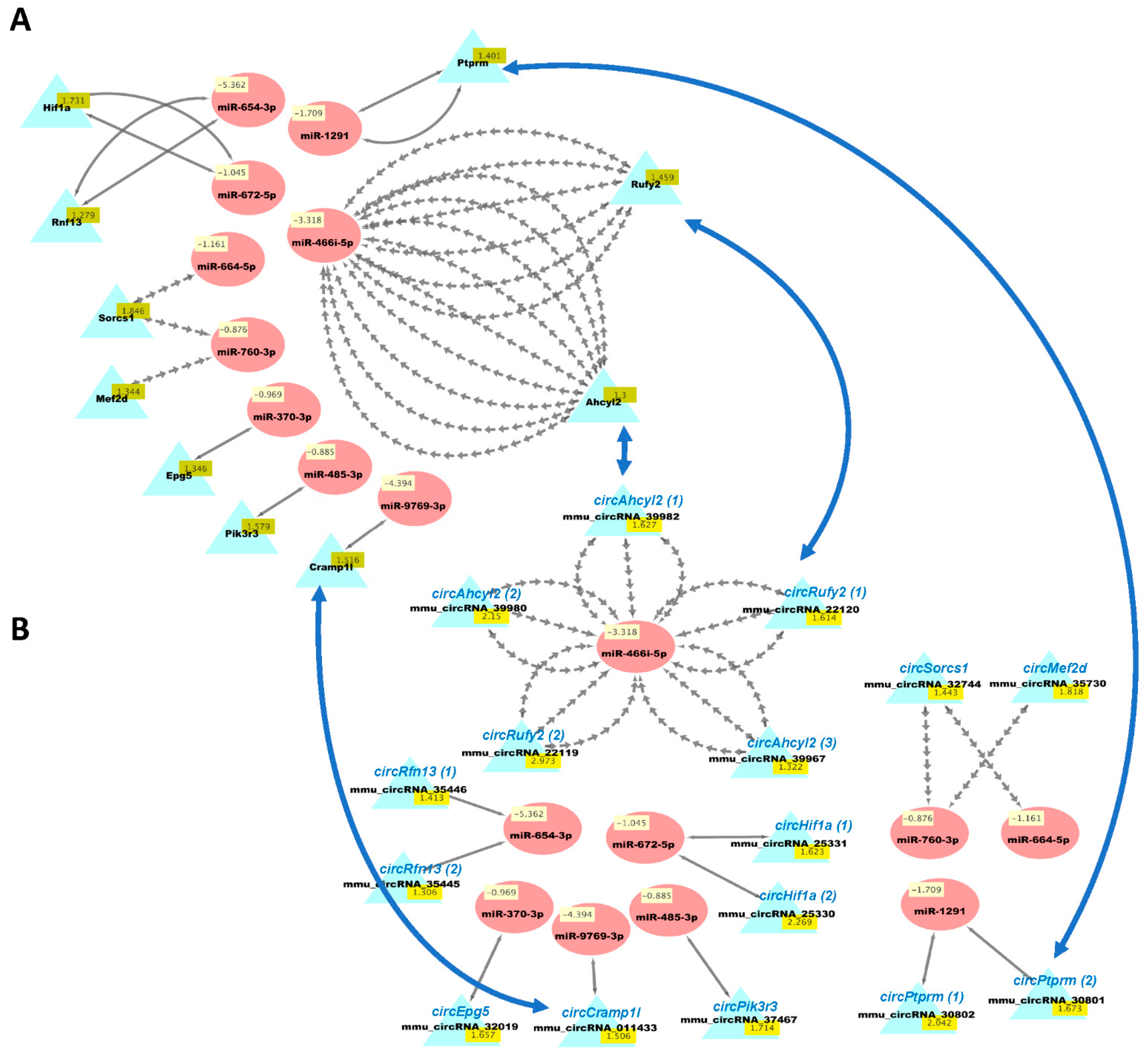 Biology 10 00939 g006