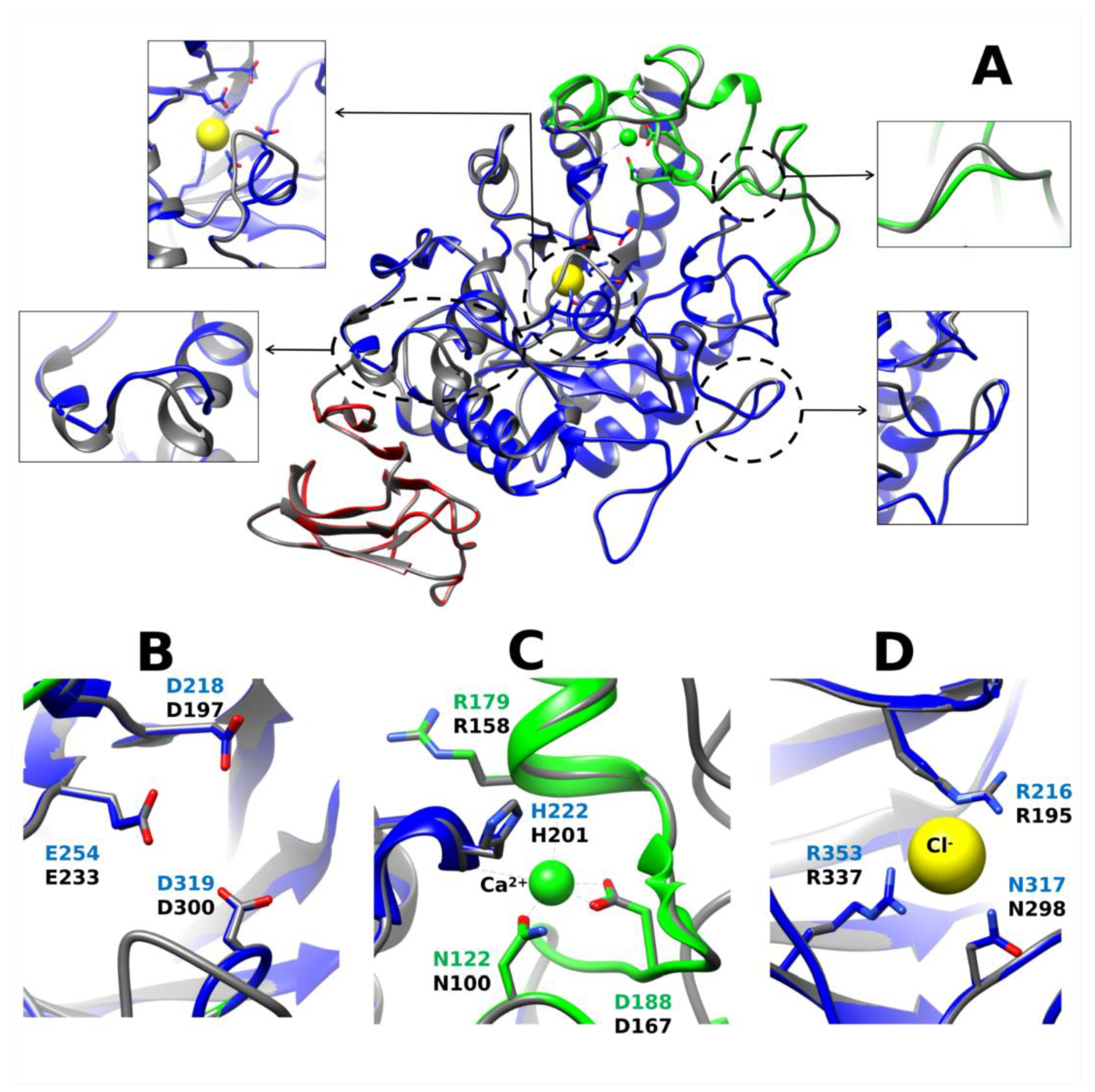 Biology | Free Full-Text | Toward a More Comprehensive View of α