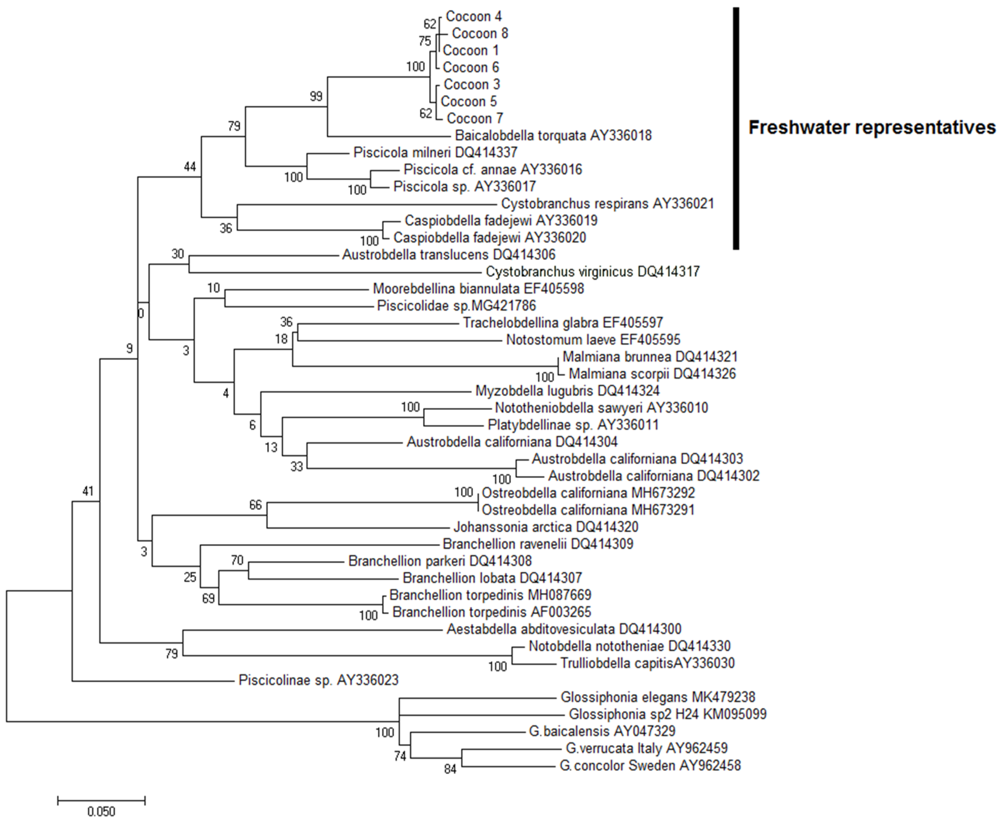 Biology 10 00972 g007 Biology 10 00972 g007