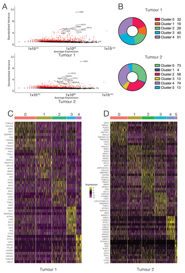 Biology Free Full Text Single Cell RNA Seq Reveals Heterogeneous LncRNA Expression In