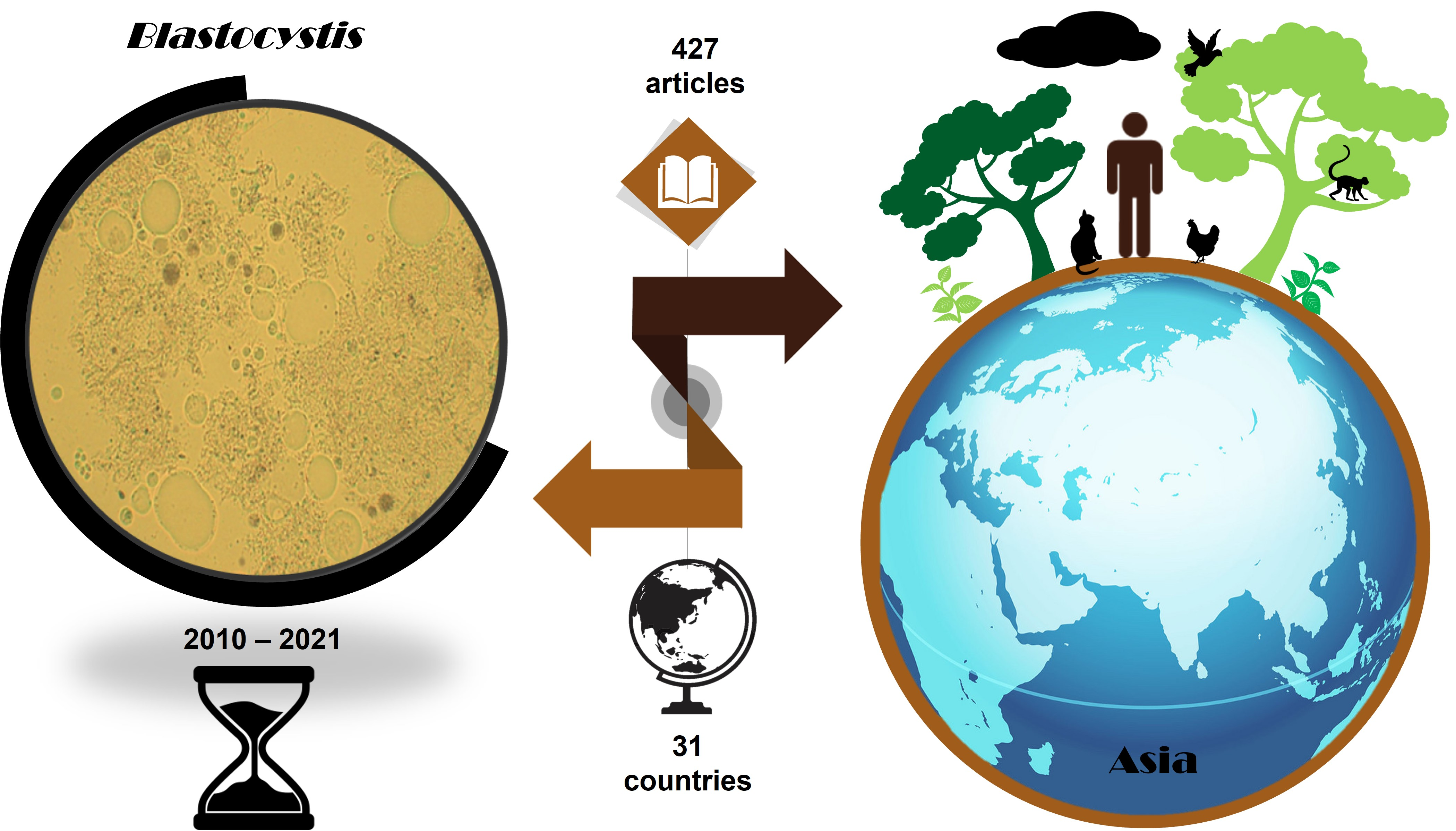 Biology | Free Full-Text | The Coexistence of Blastocystis spp. in Humans,  Animals and Environmental Sources from 2010–2021 in Asia | HTML
