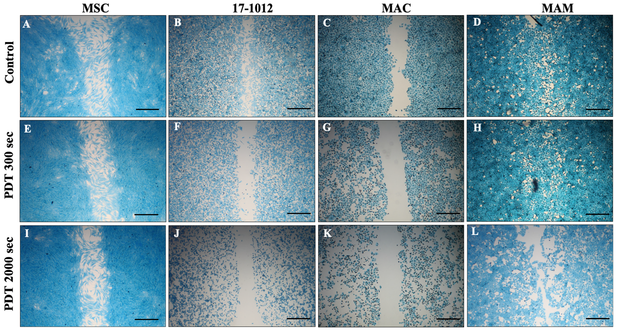 Biology 10 01020 g001