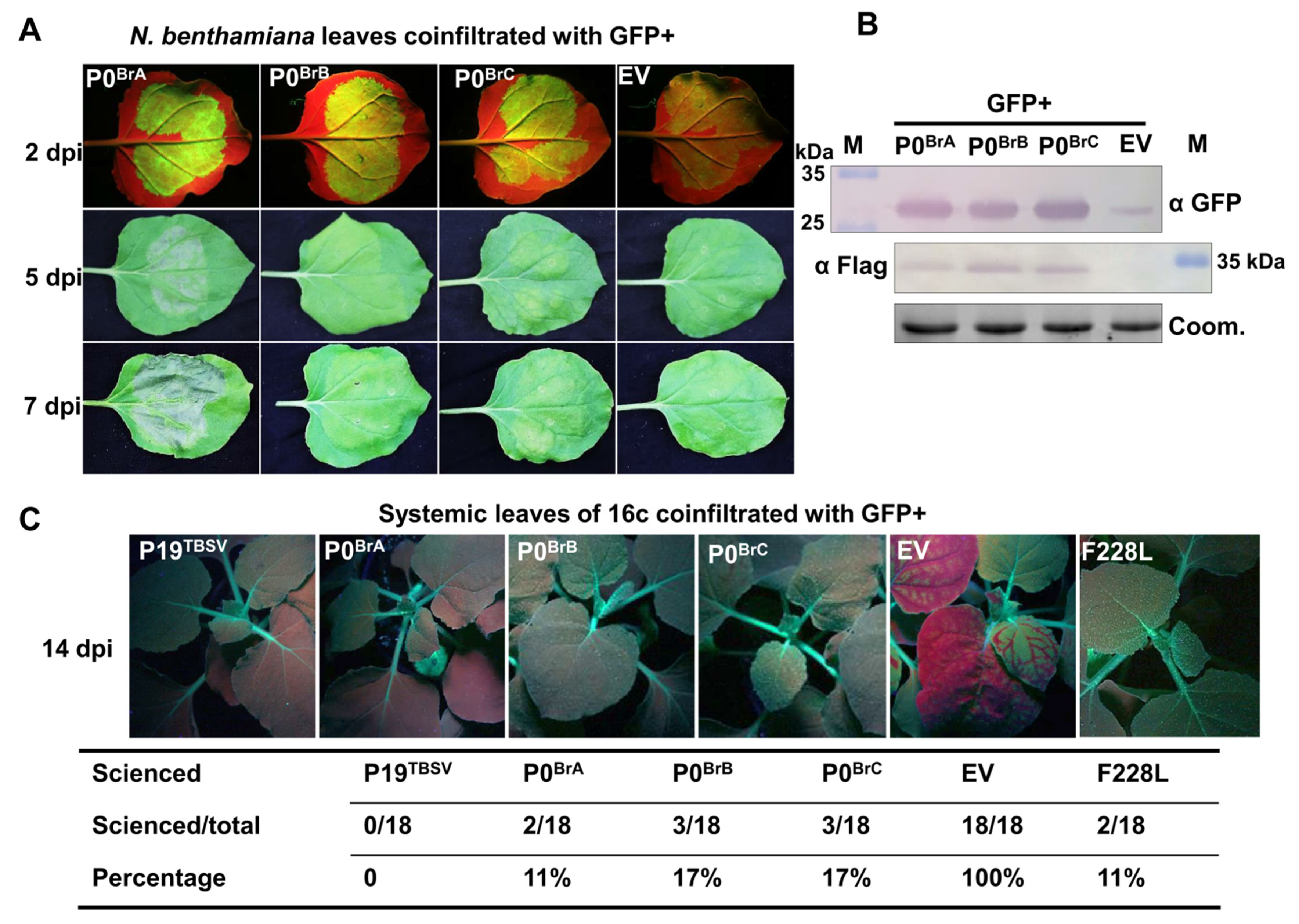 Biology 10 01076 g002 Biology 10 01076 g002