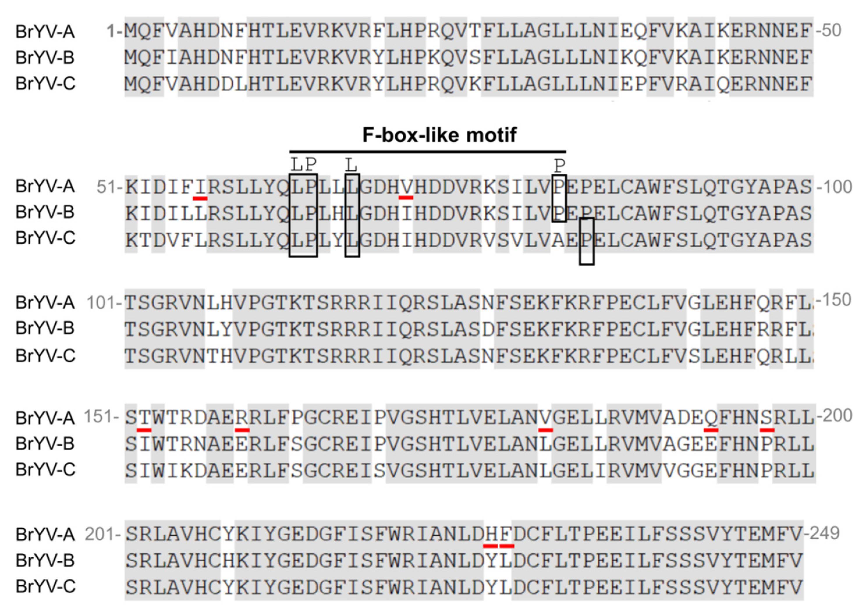 Biology 10 01076 g003 Biology 10 01076 g003