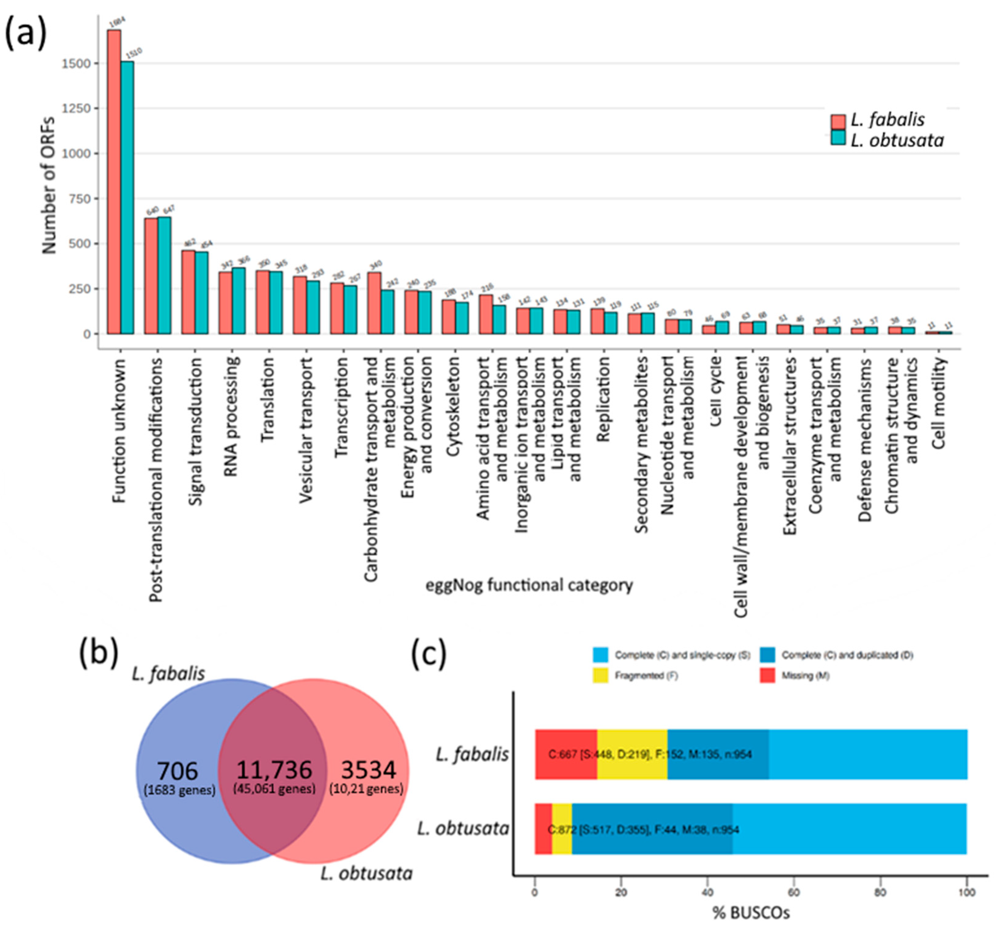 Biology 10 01087 g001
