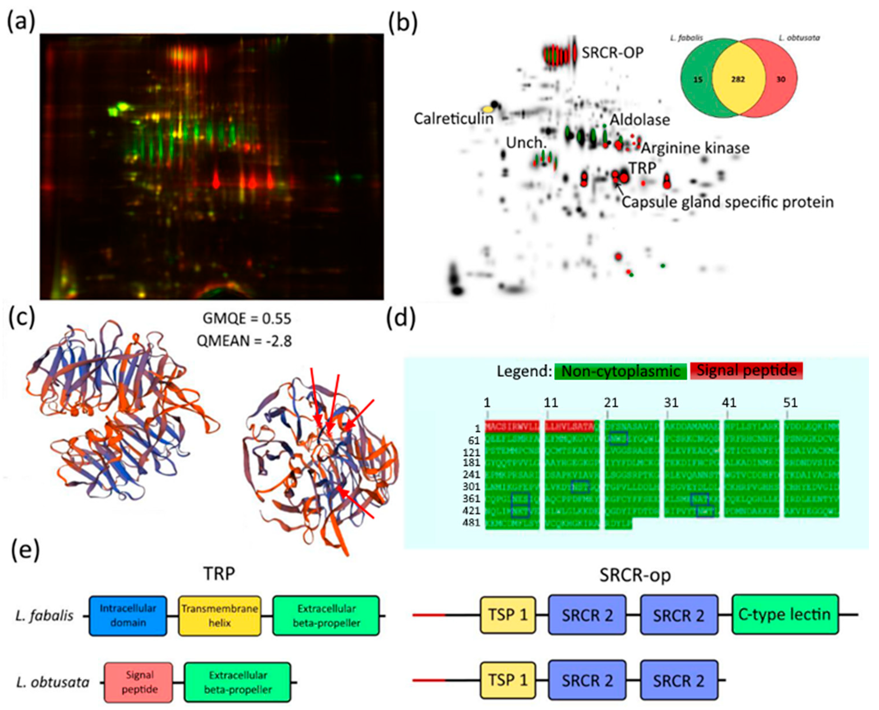 Biology 10 01087 g002