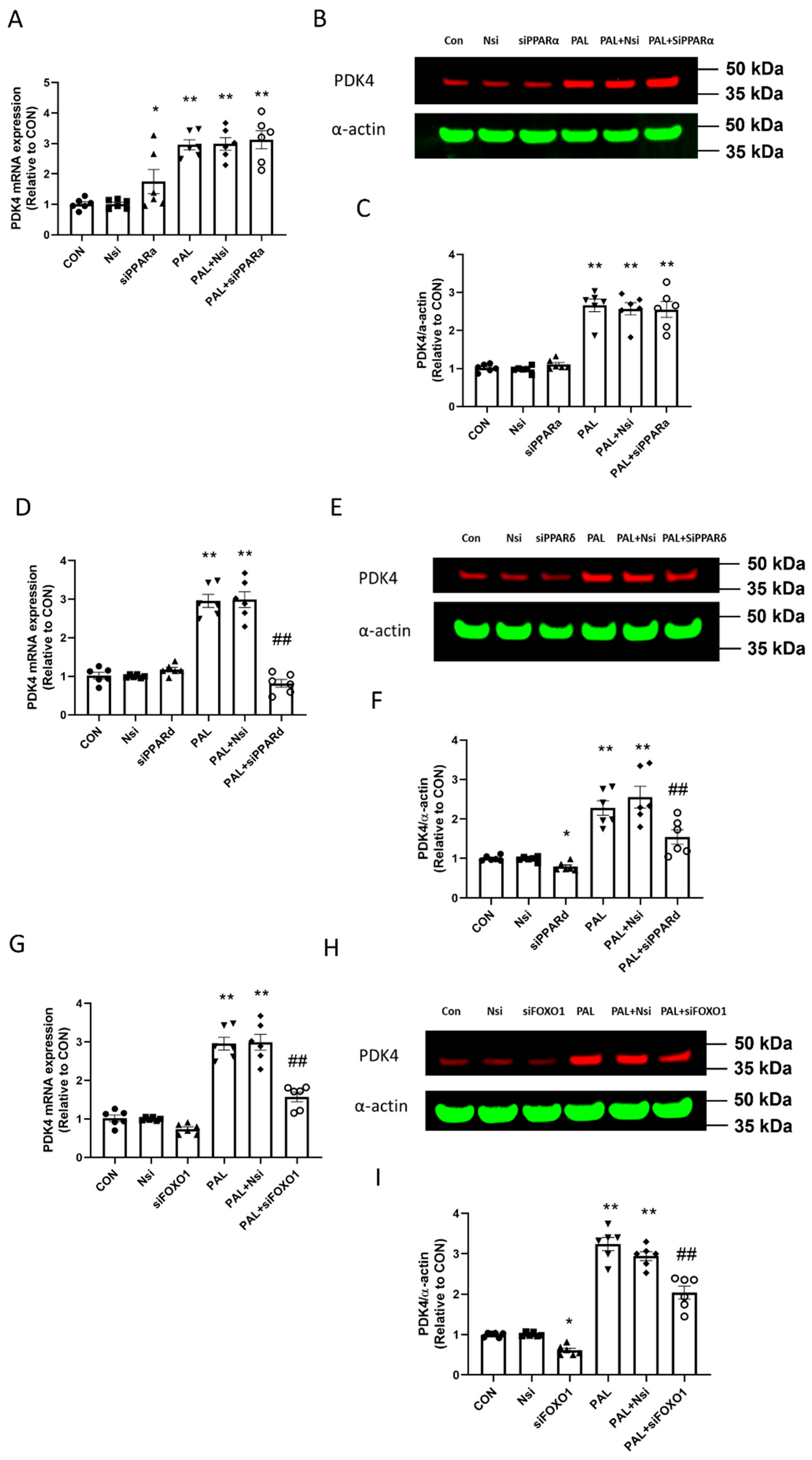 Biology 10 01098 g005