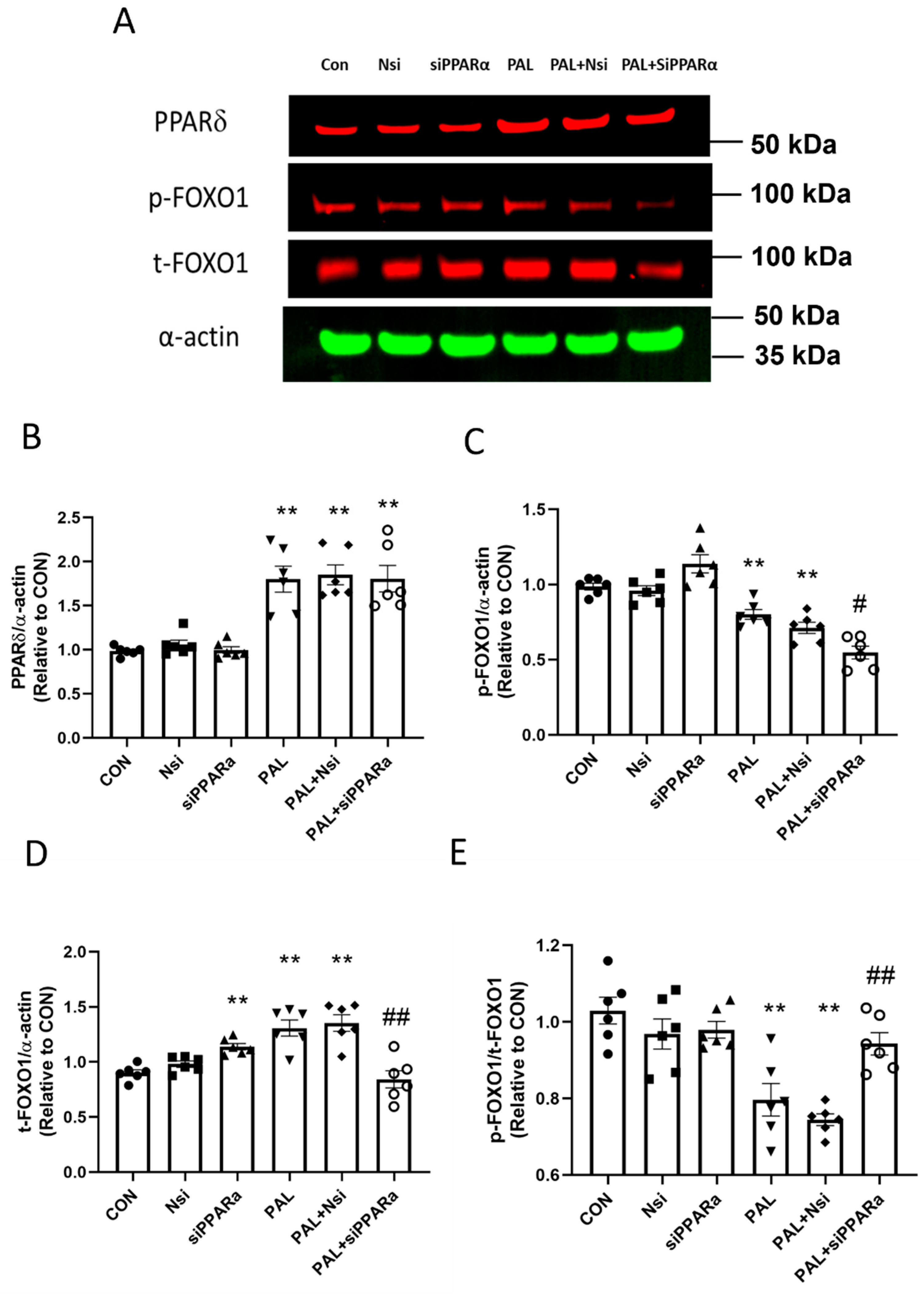Biology 10 01098 g006