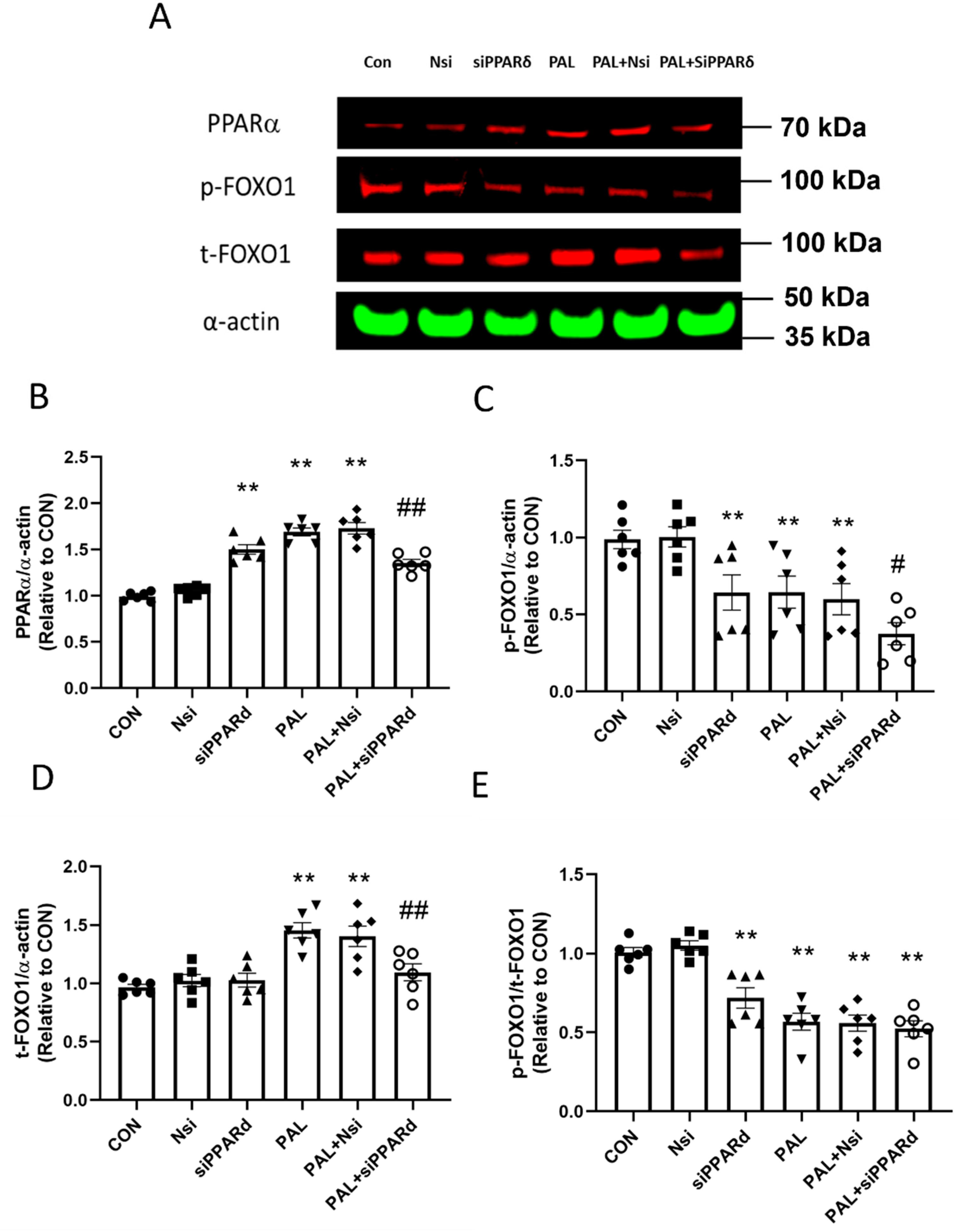 Biology 10 01098 g007